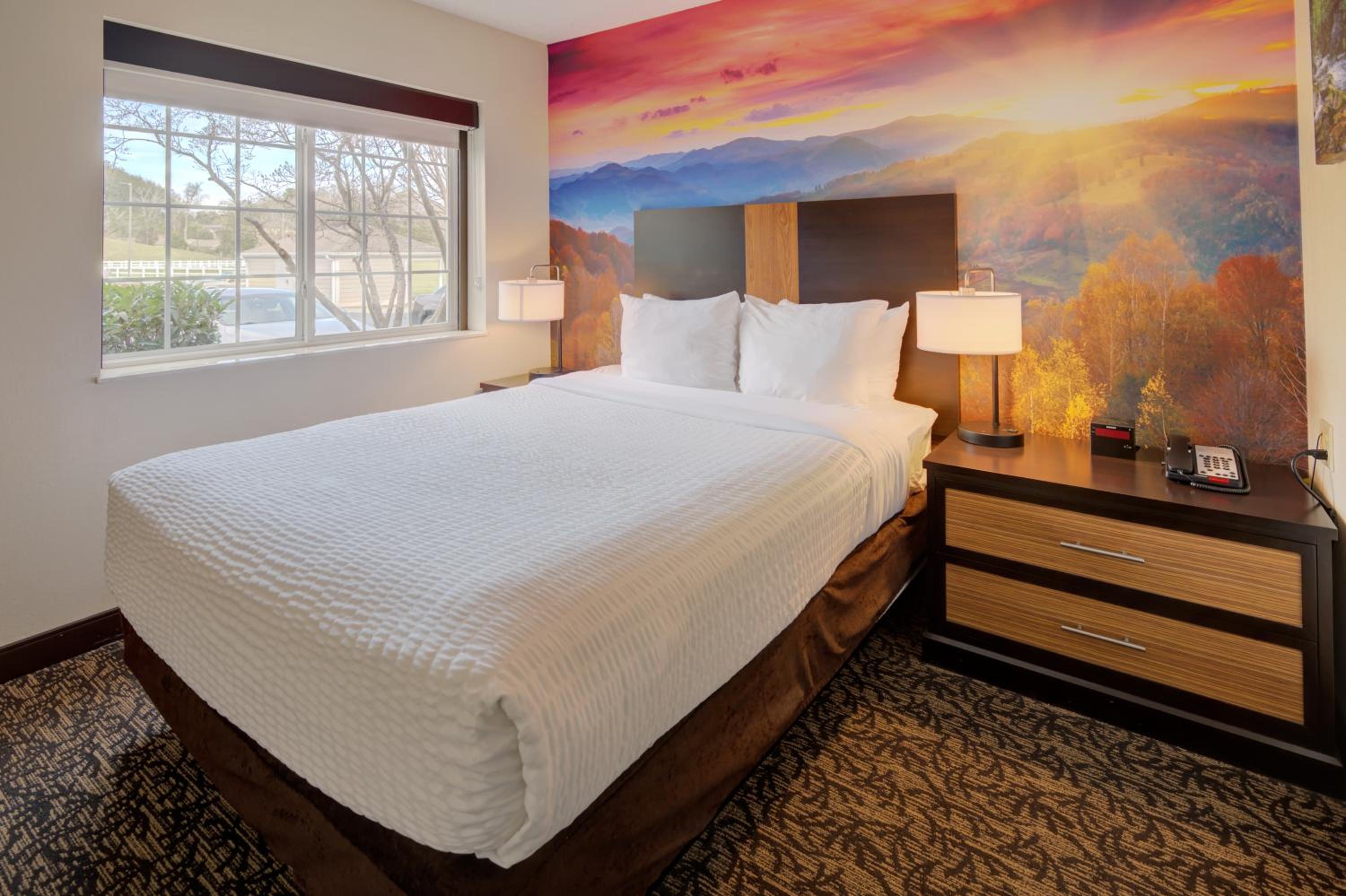 One-Bedroom Suite with One Queen Bed and Sofa Bed - Photo 5