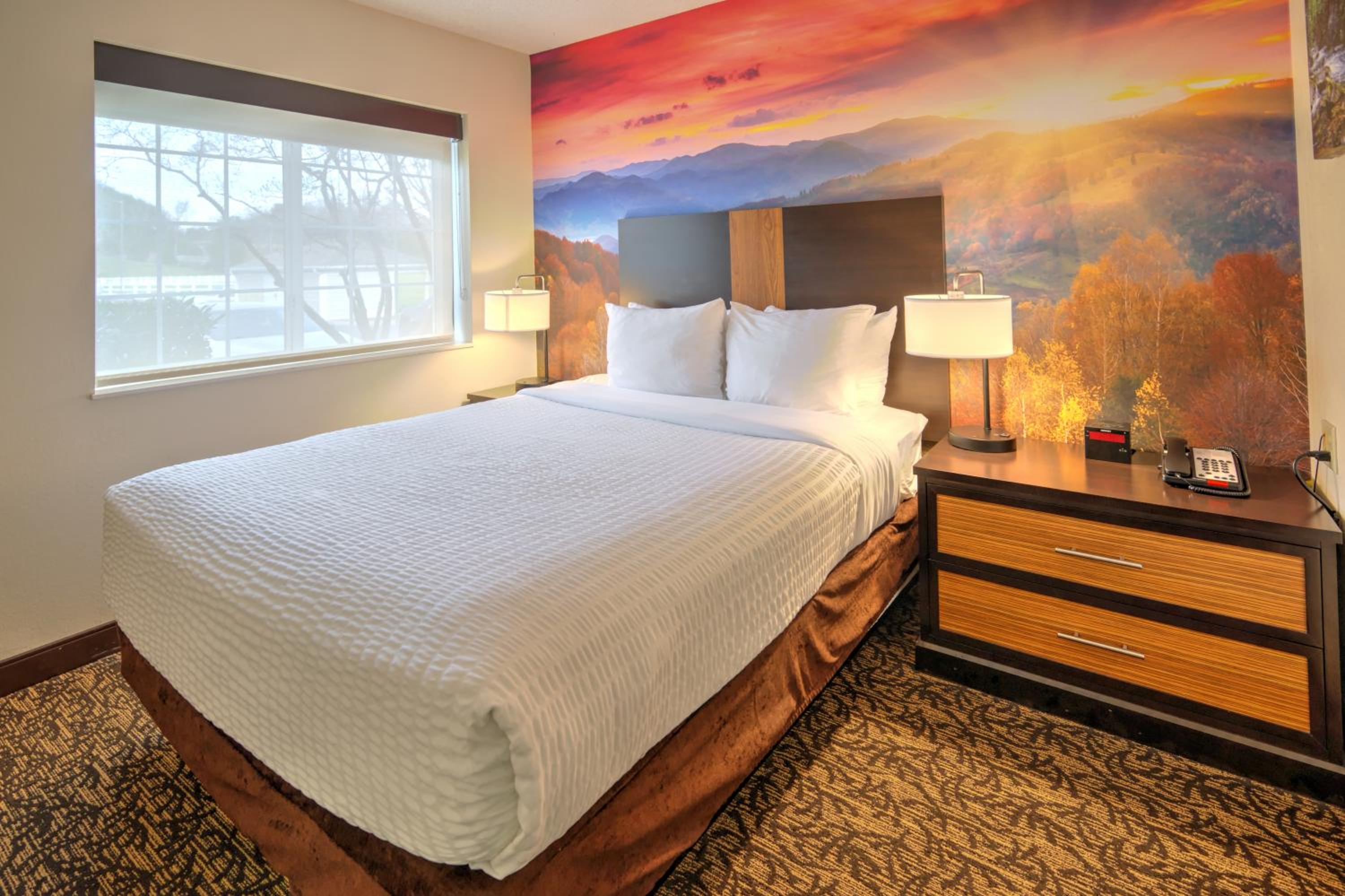 One-Bedroom Suite with One Queen Bed and Sofa Bed - Photo 3