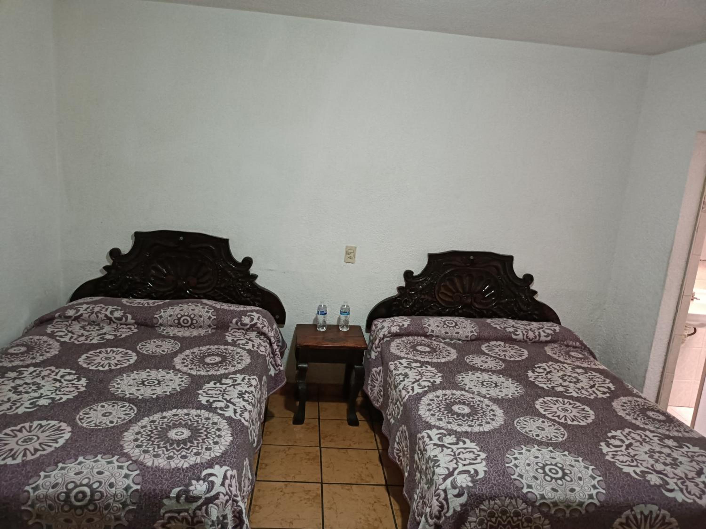 Twin Room photo 2