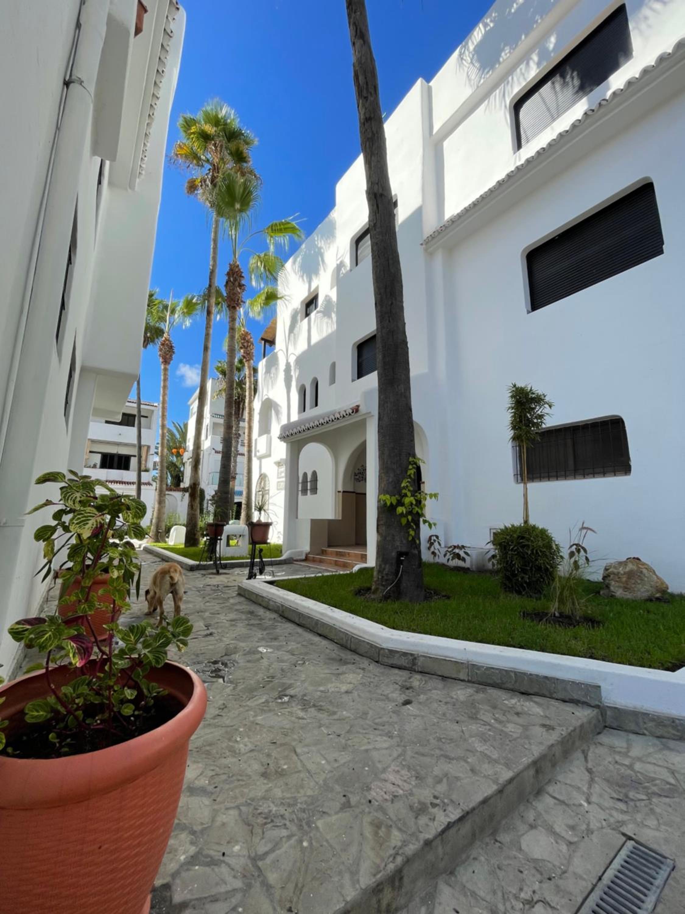 Two-Bedroom Apartment with Terrace photo 1