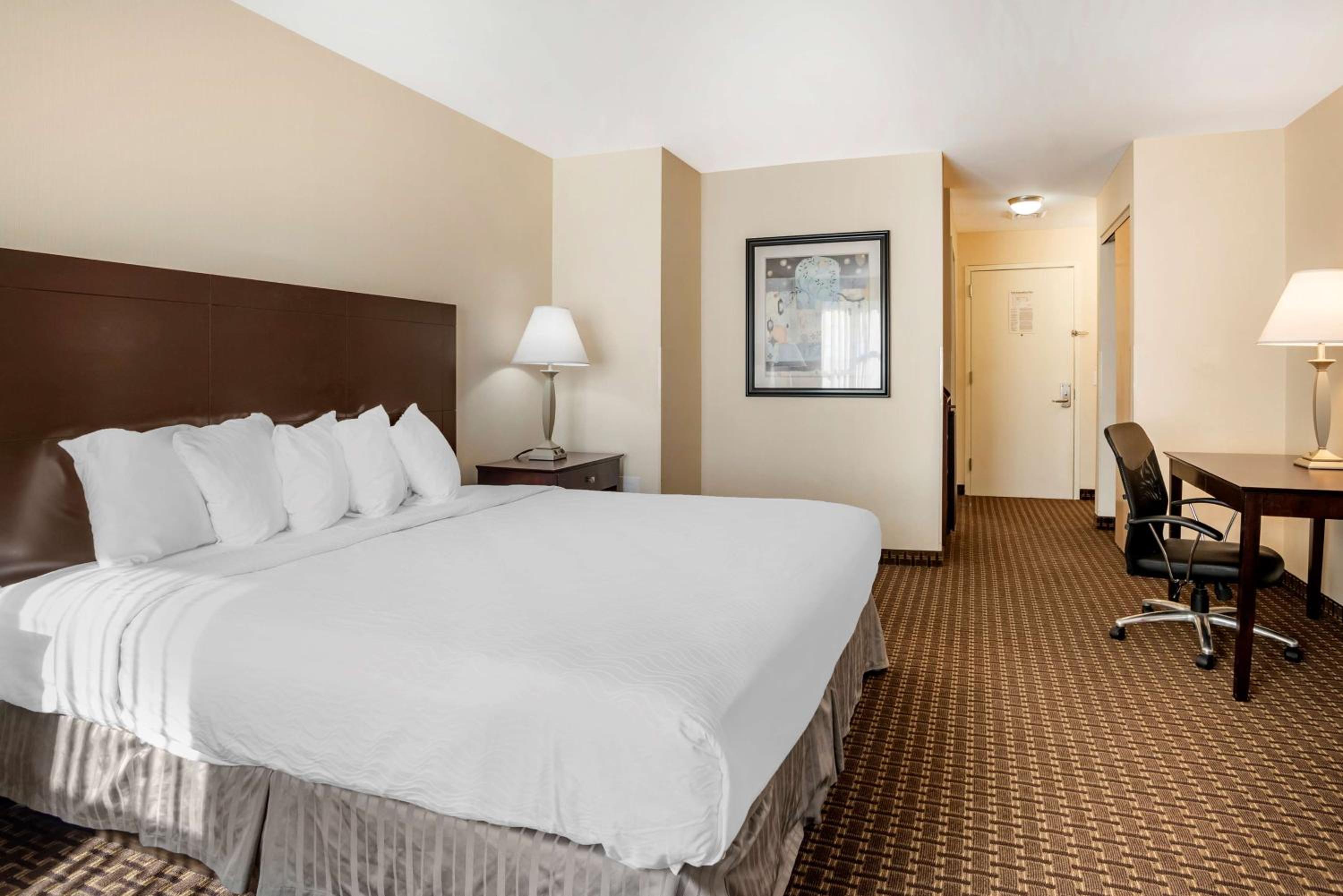 King Room with Walk-In Shower - Mobility Access photo 2