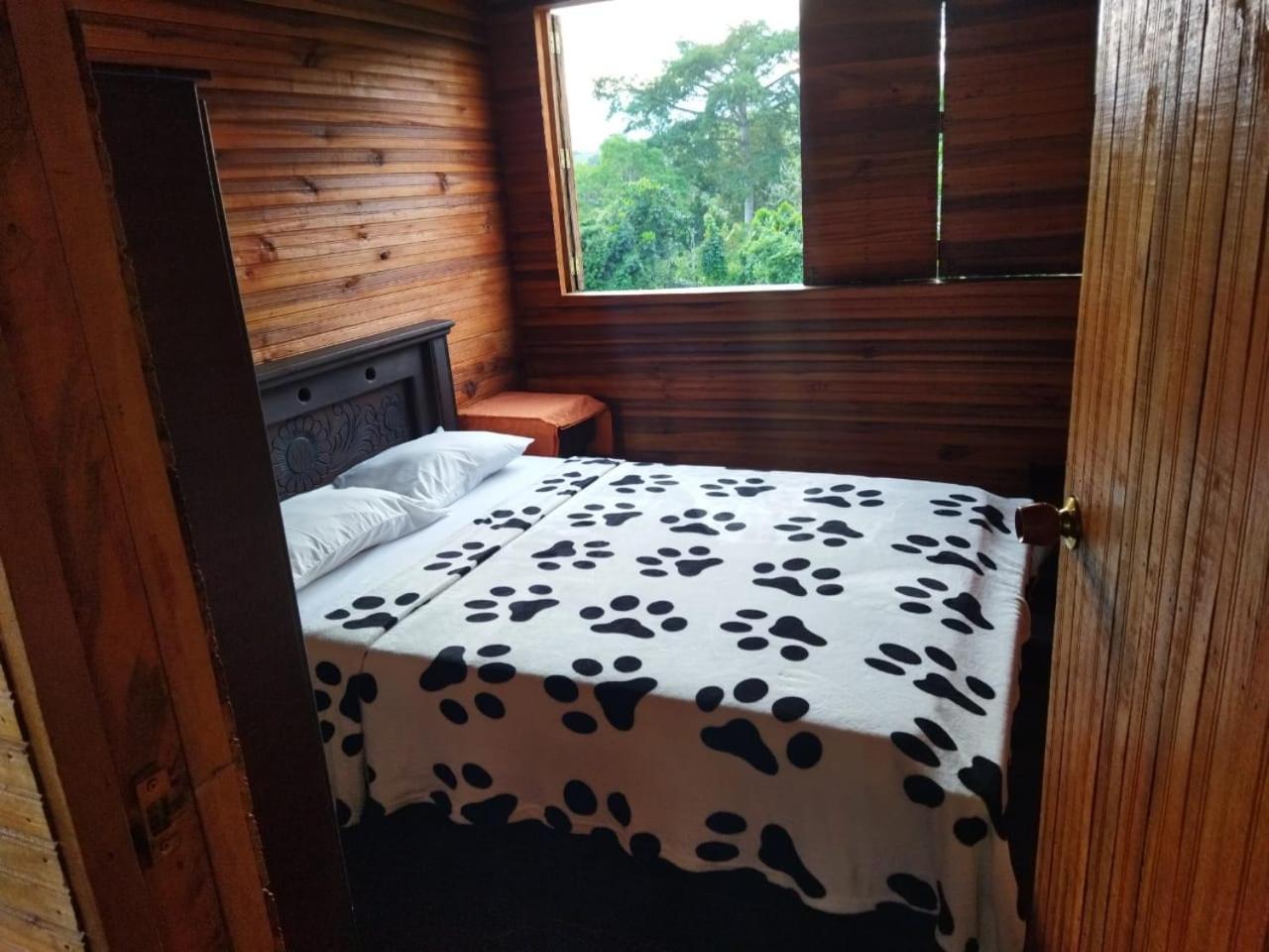 Family Suite With Balcony photo 1