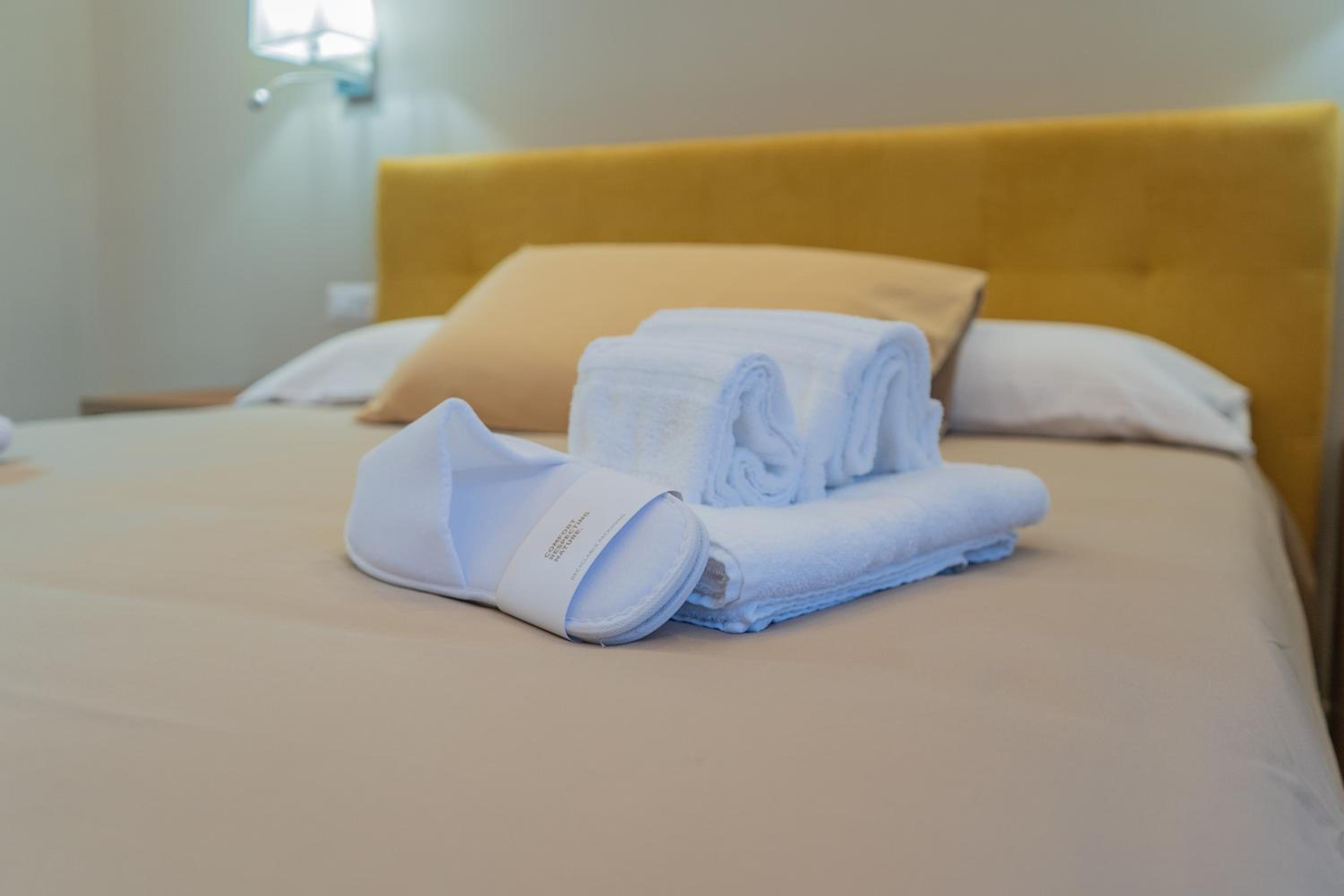 Deluxe Room photo 2