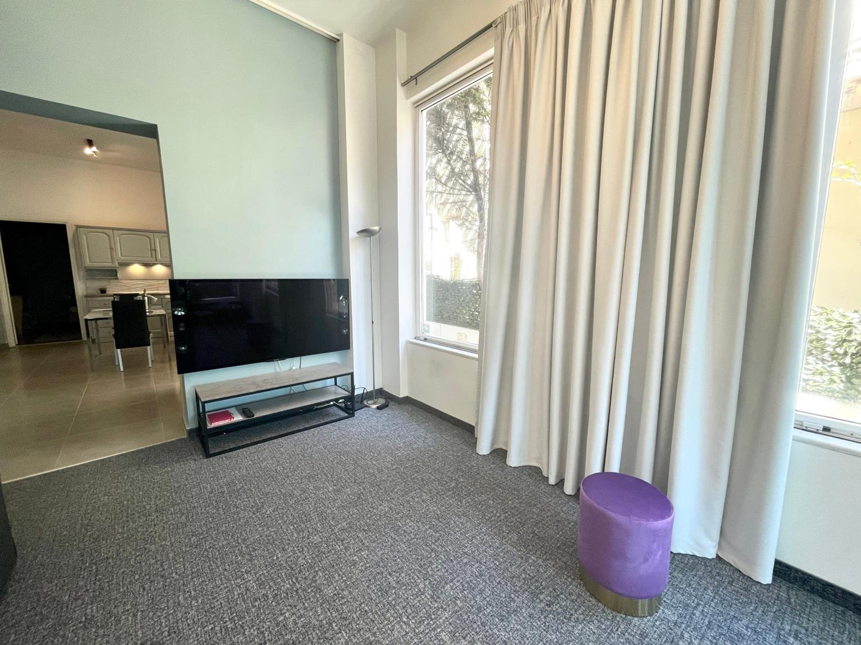 Standard Apartment photo 3