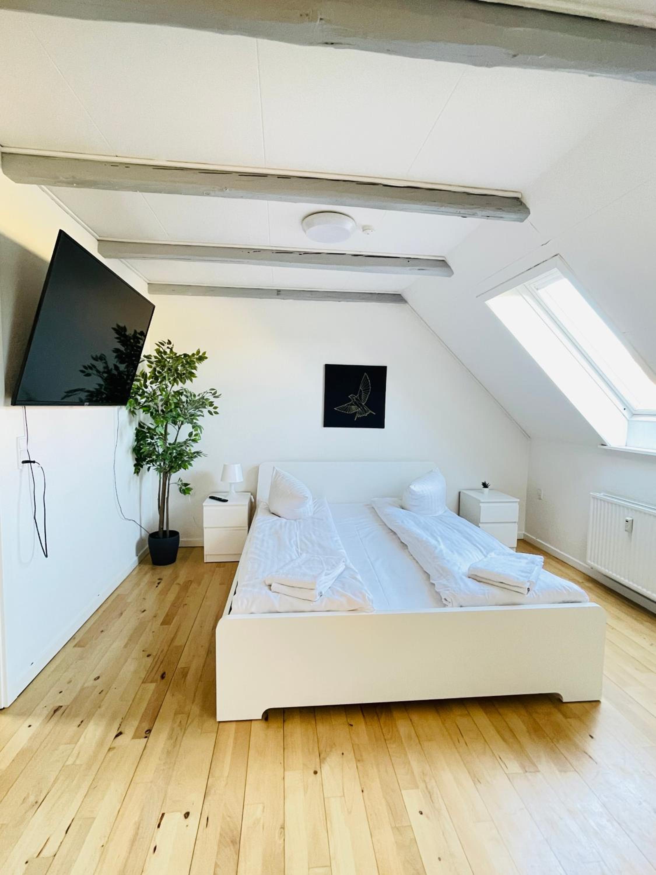Superior Apartment photo 3
