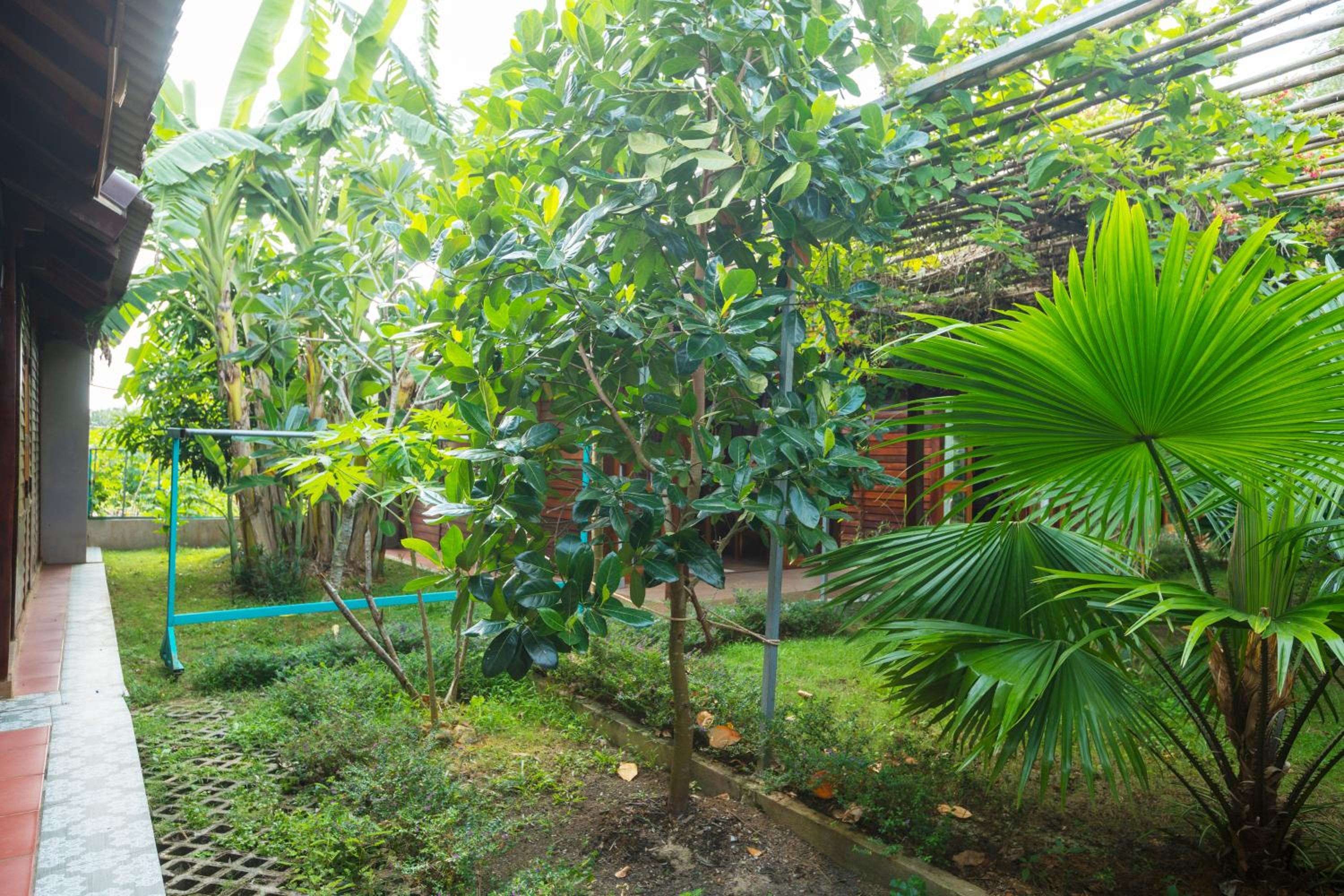 Double Room with Garden View - Photo 5