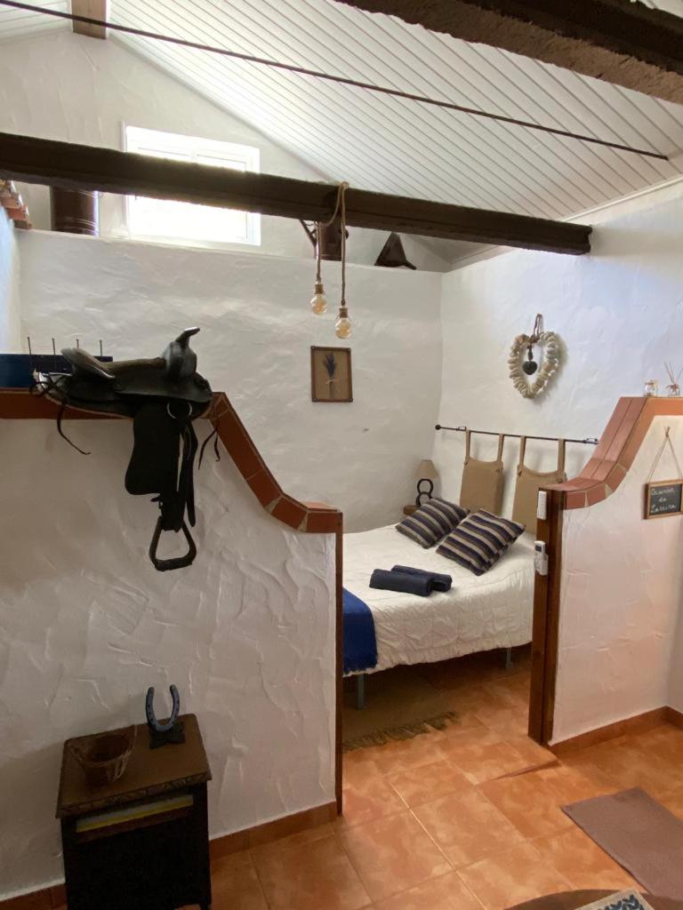 One-Bedroom Chalet photo 1