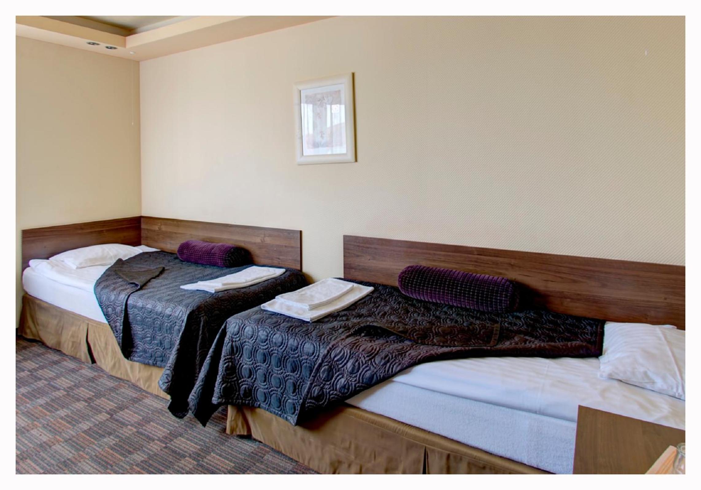 Twin Room photo 3