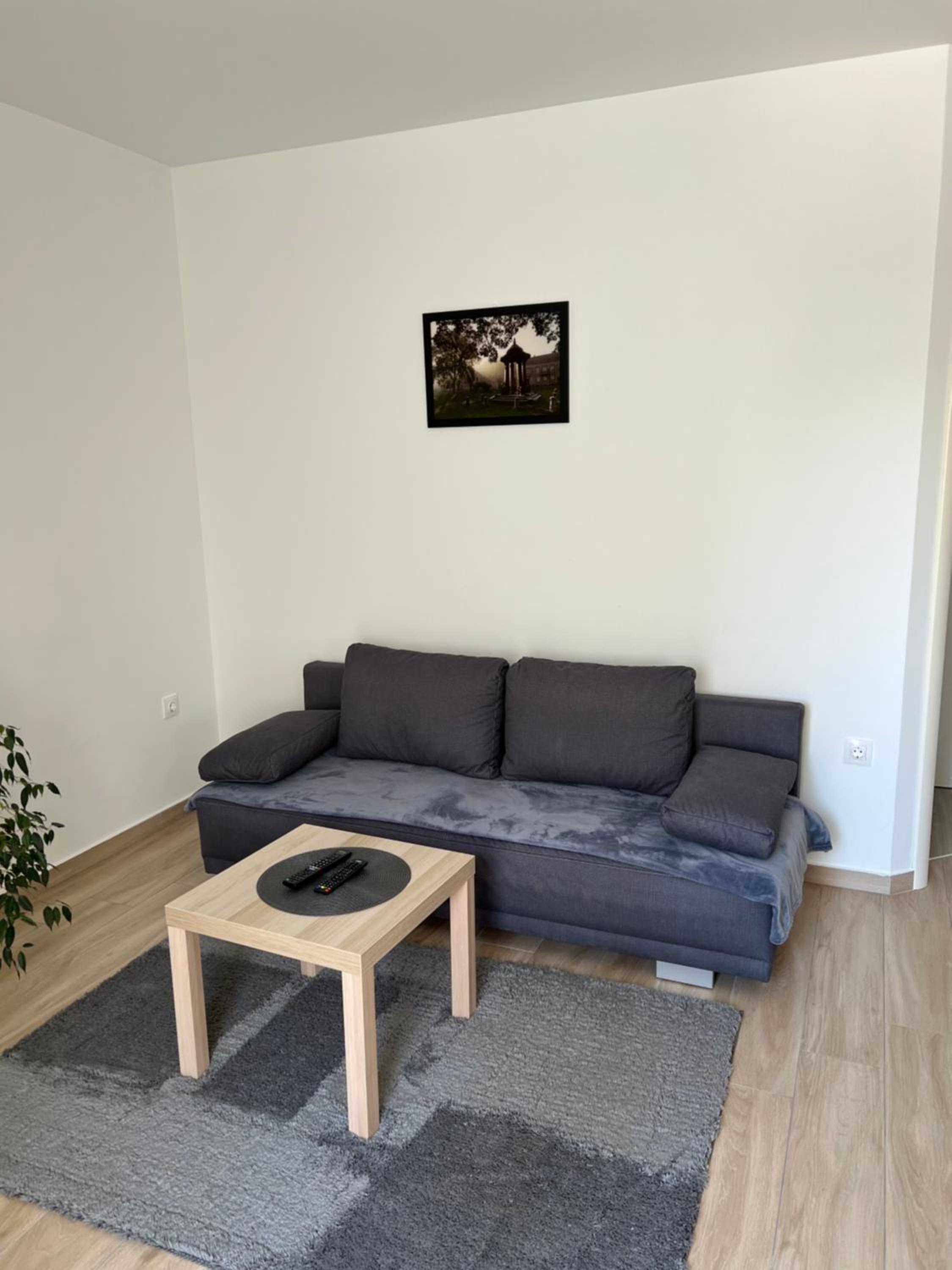 One-Bedroom Apartment - Photo 3