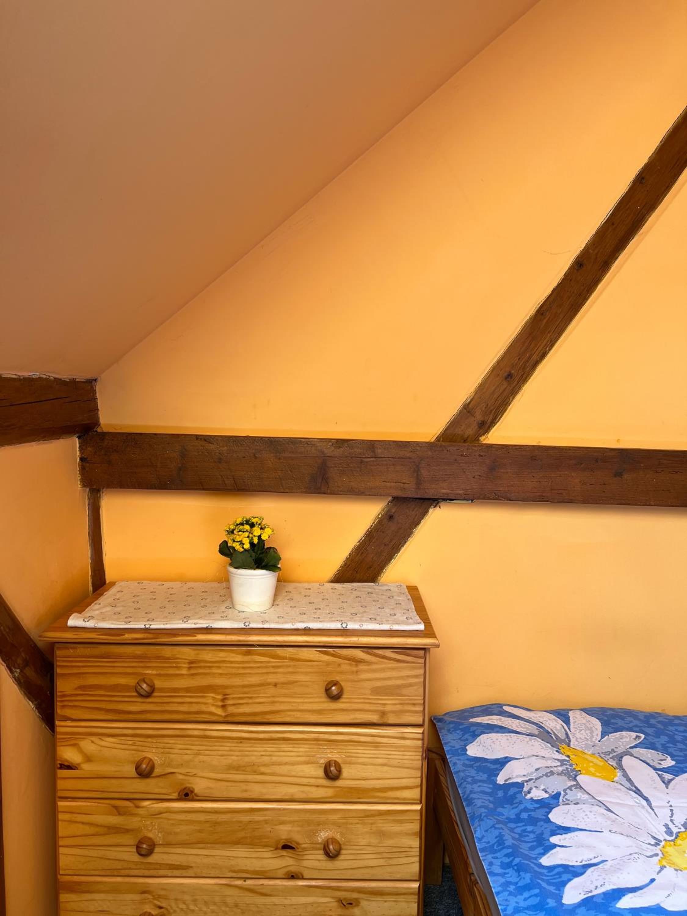 Quadruple Room with Private Bathroom photo 1