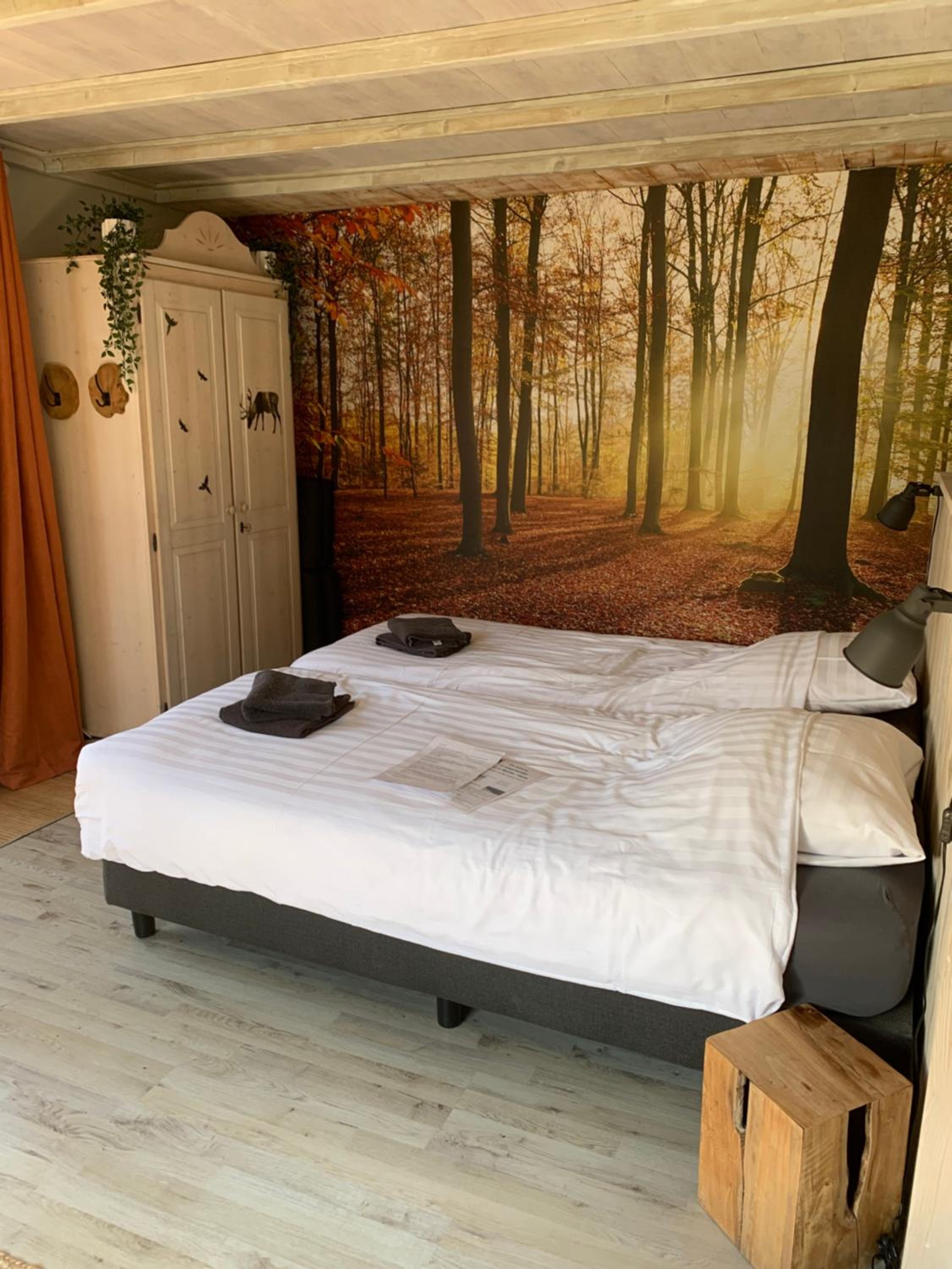 One-Bedroom House photo 1