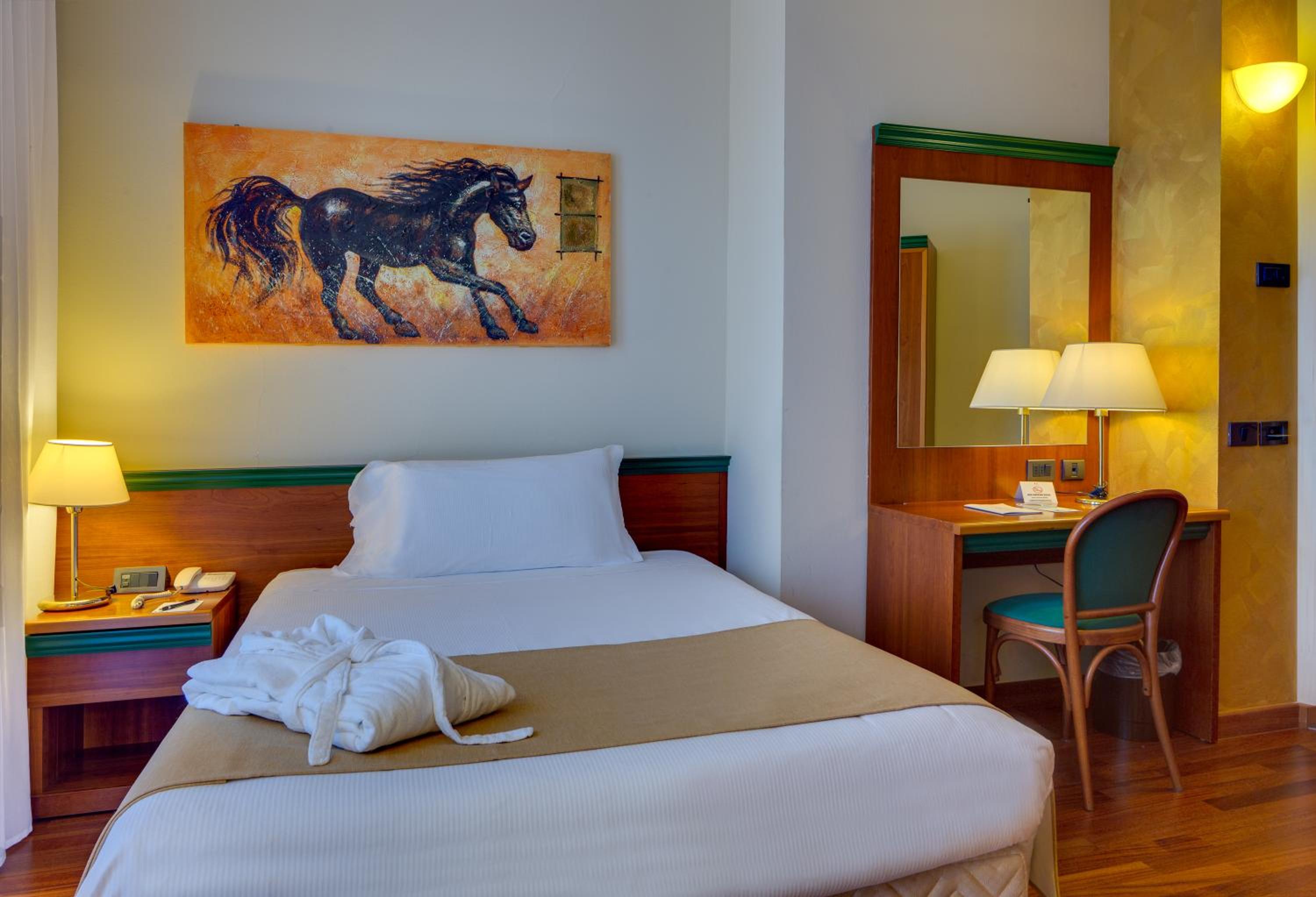 Superior Single Room