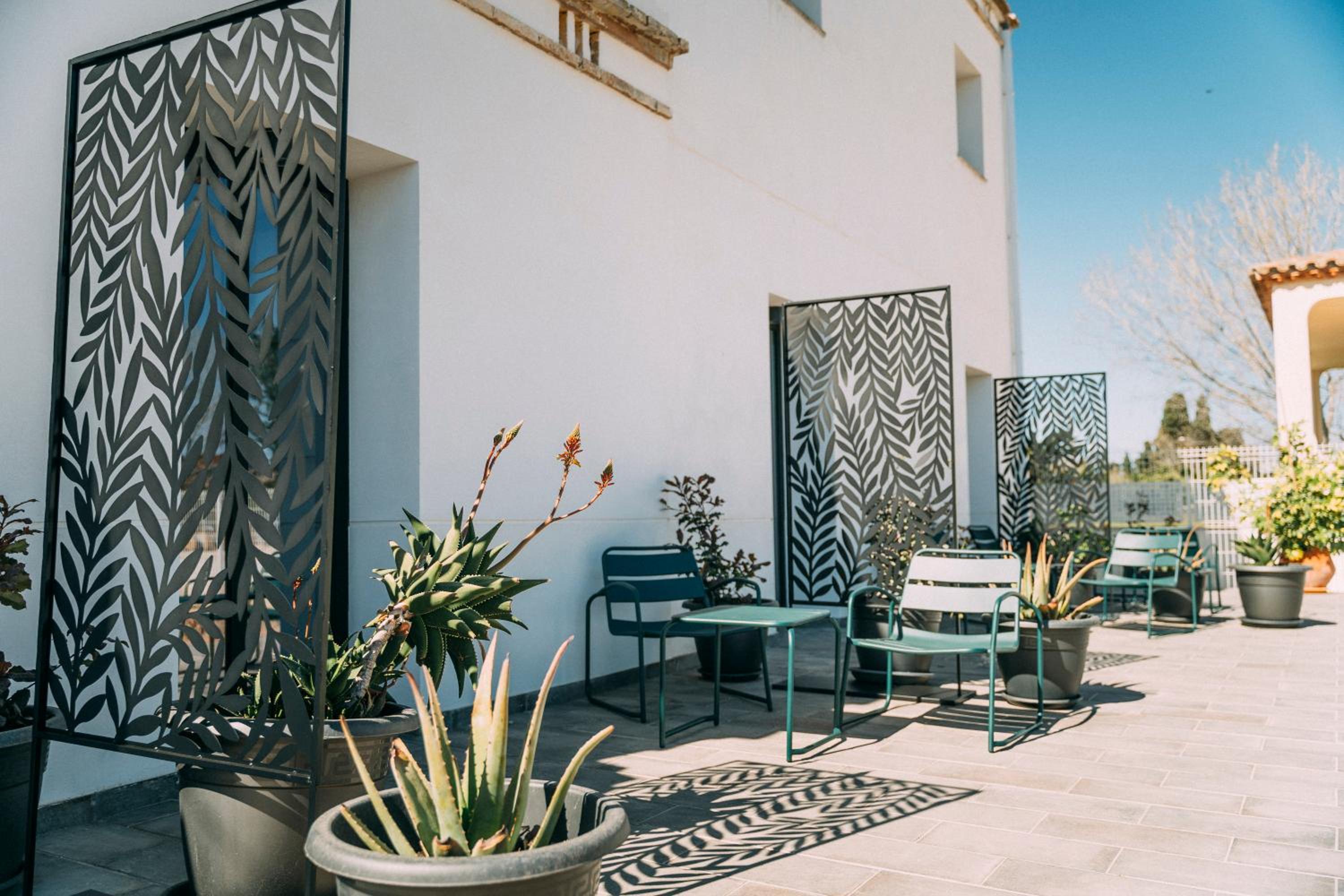 Double Room with Terrace photo 3