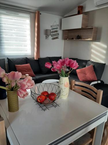 Mobile Home photo 2