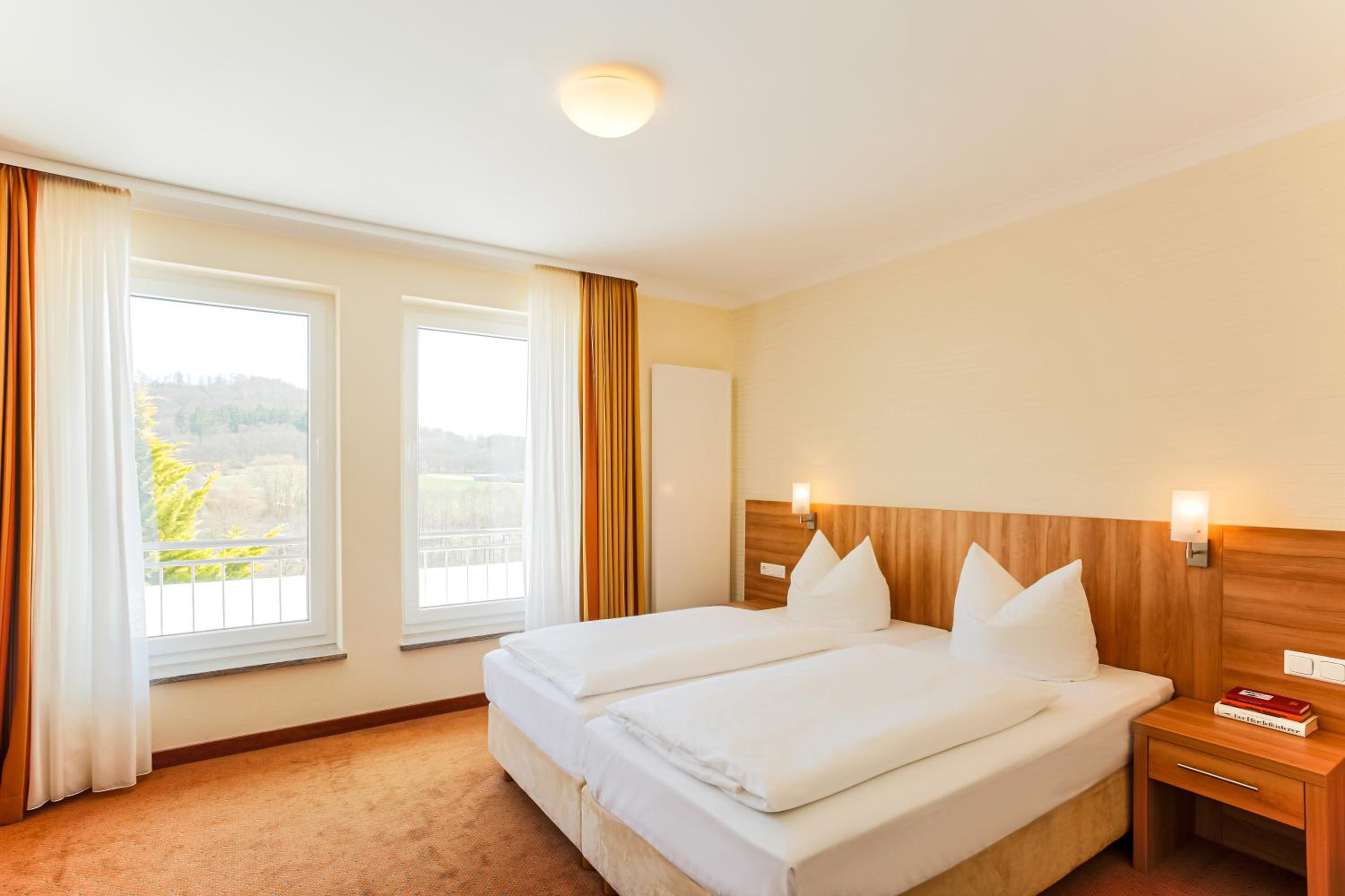 Double Room with Mountain View photo 1