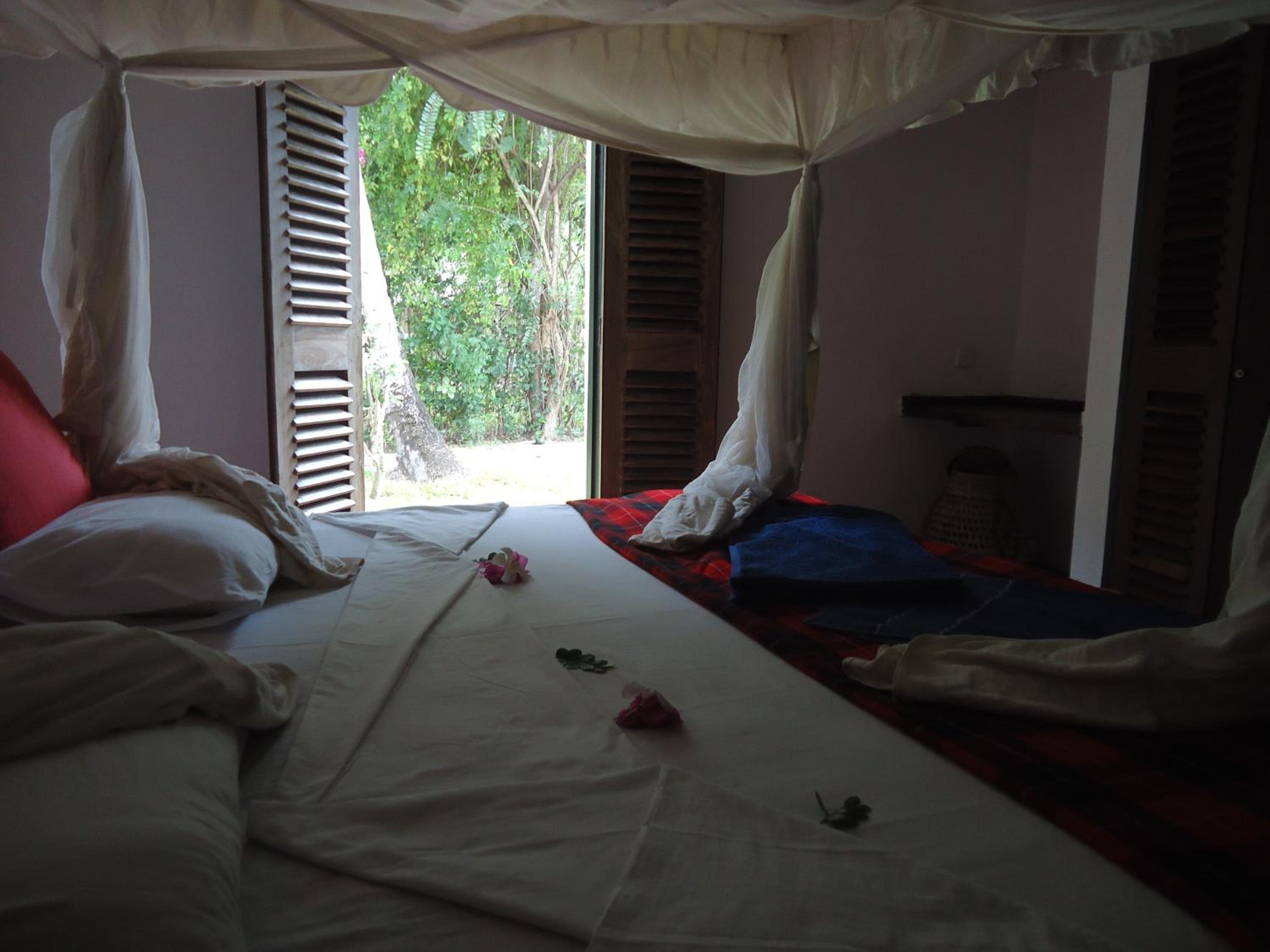 One-Bedroom House photo 1