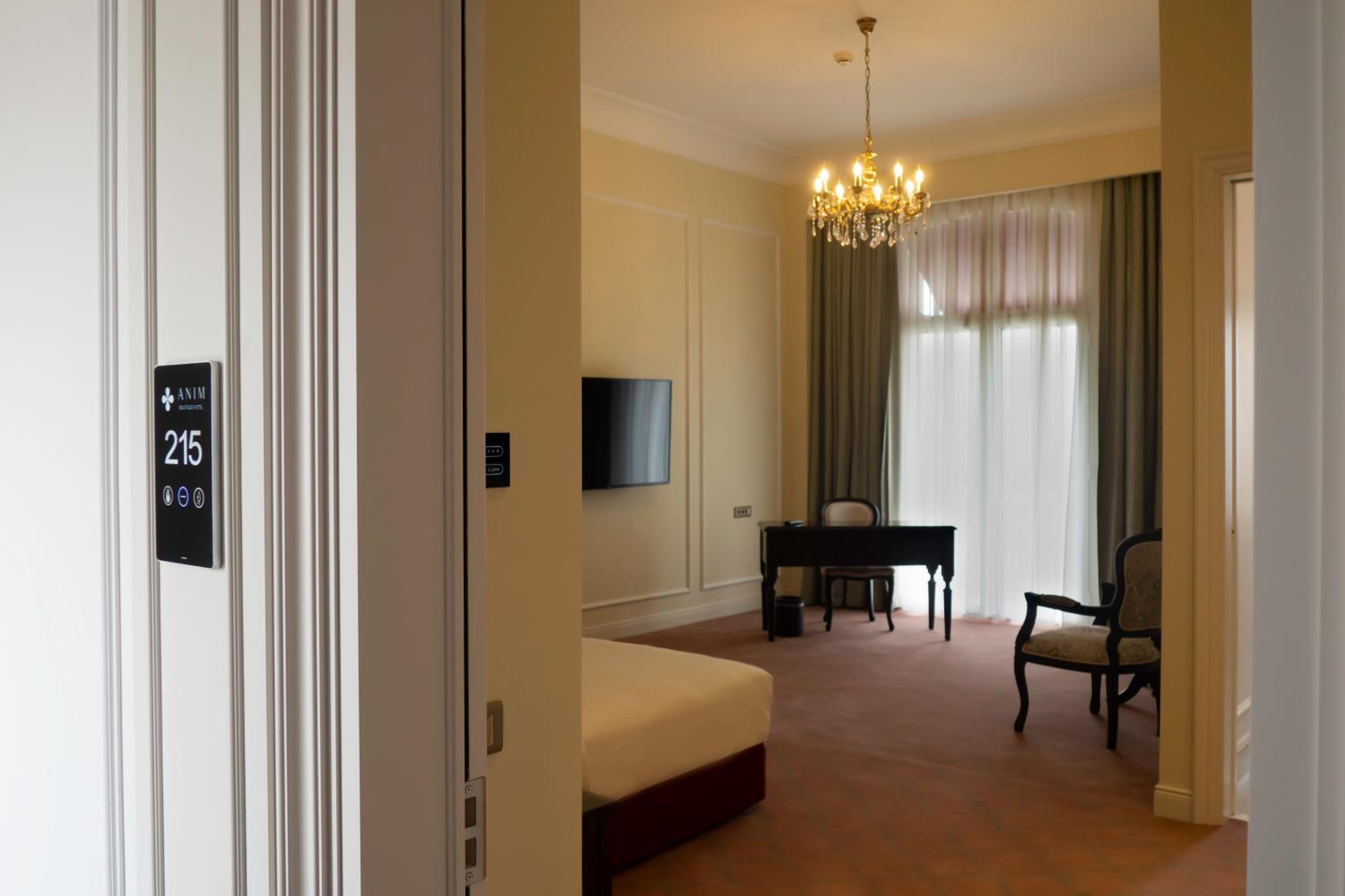 Deluxe King Room - Photo 6