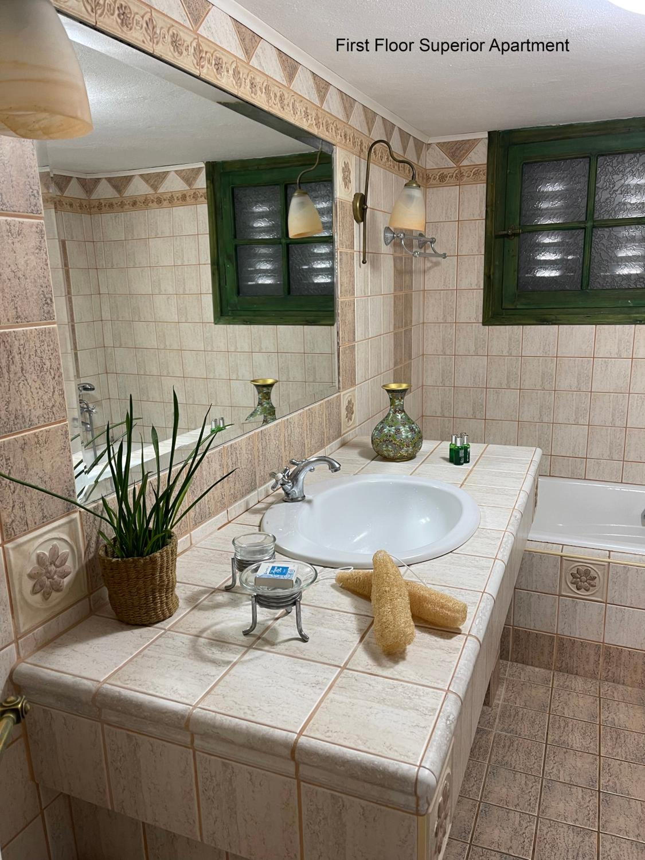 Superior Apartment photo 2