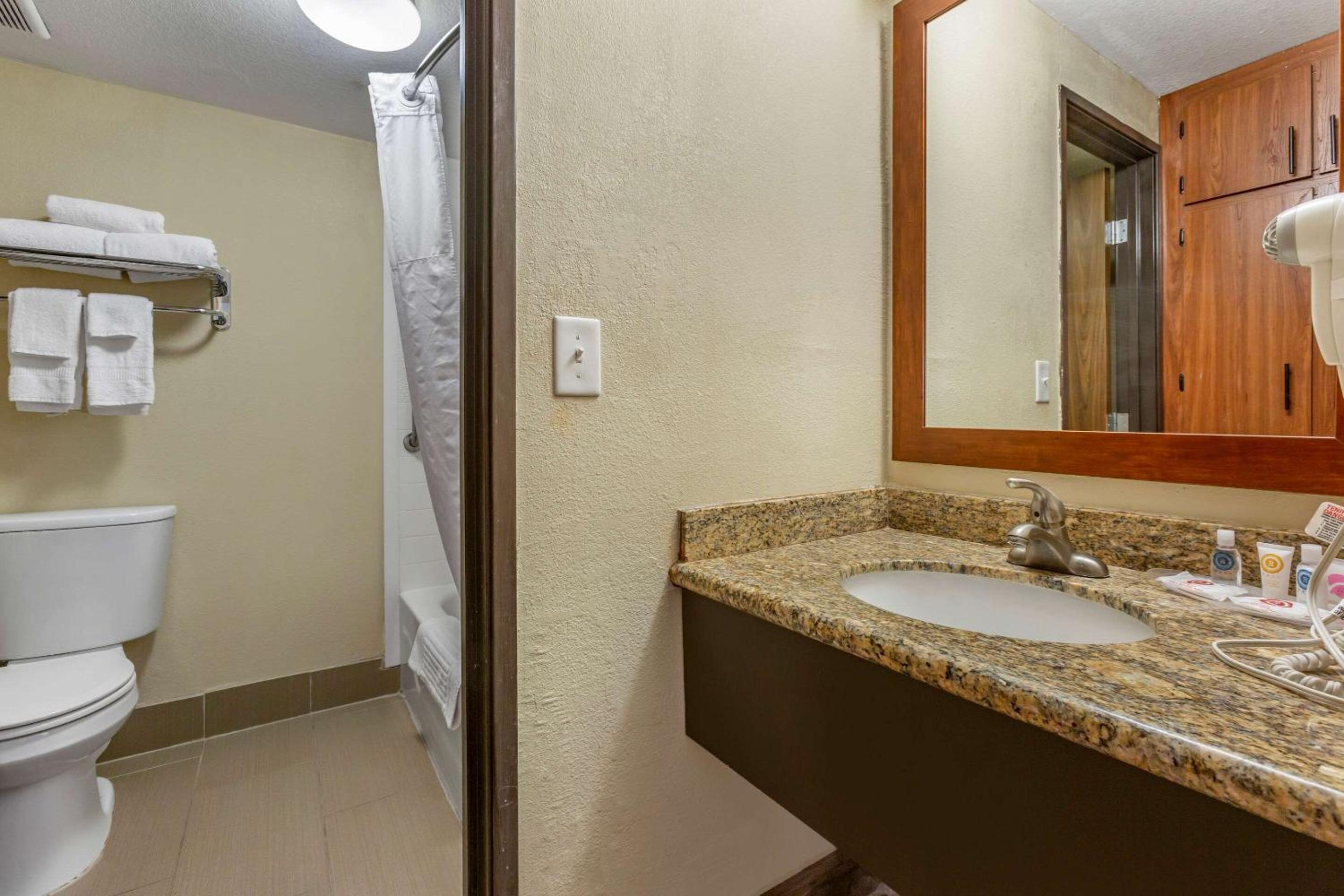 Standard King Room with Roll-in Shower - Accessible/Non-Smoking - Photo 6