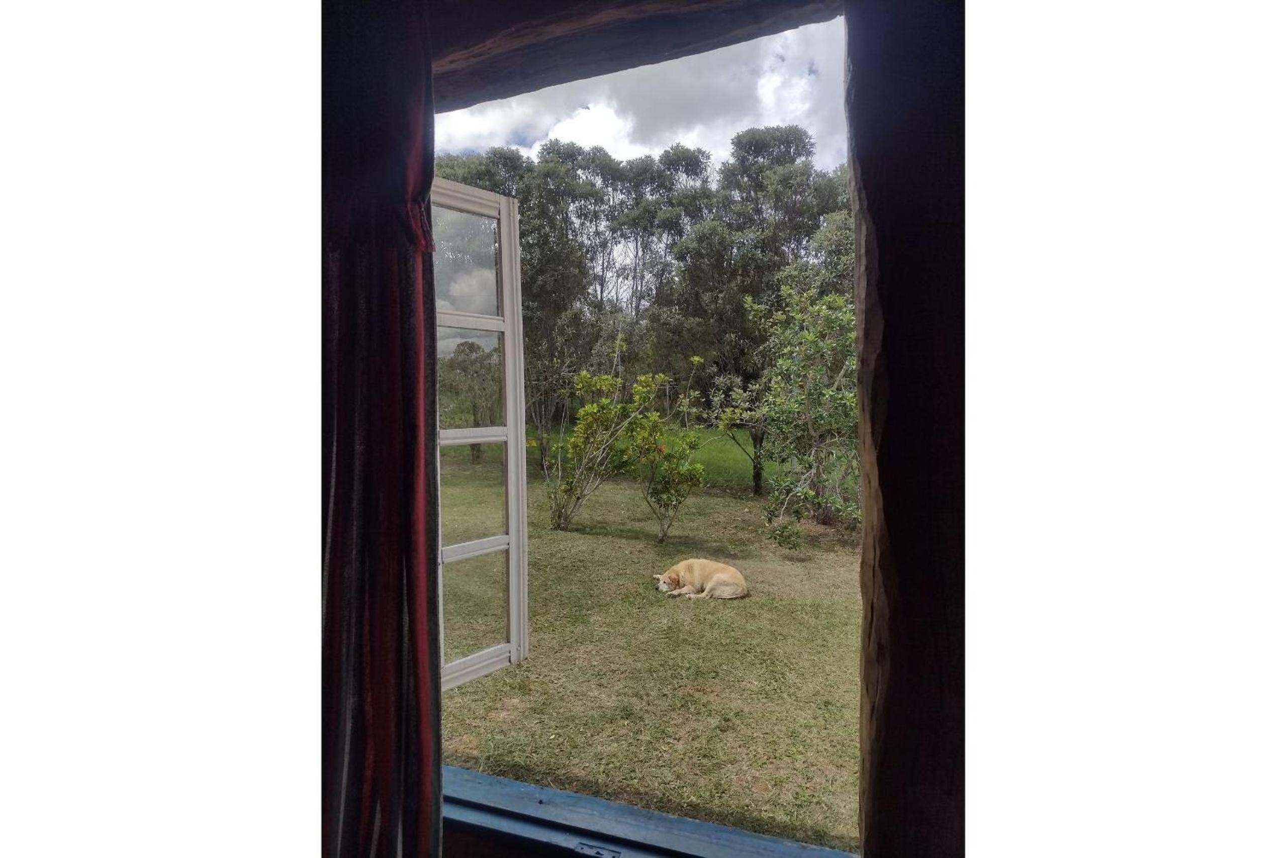 One-Bedroom Bungalow photo 2