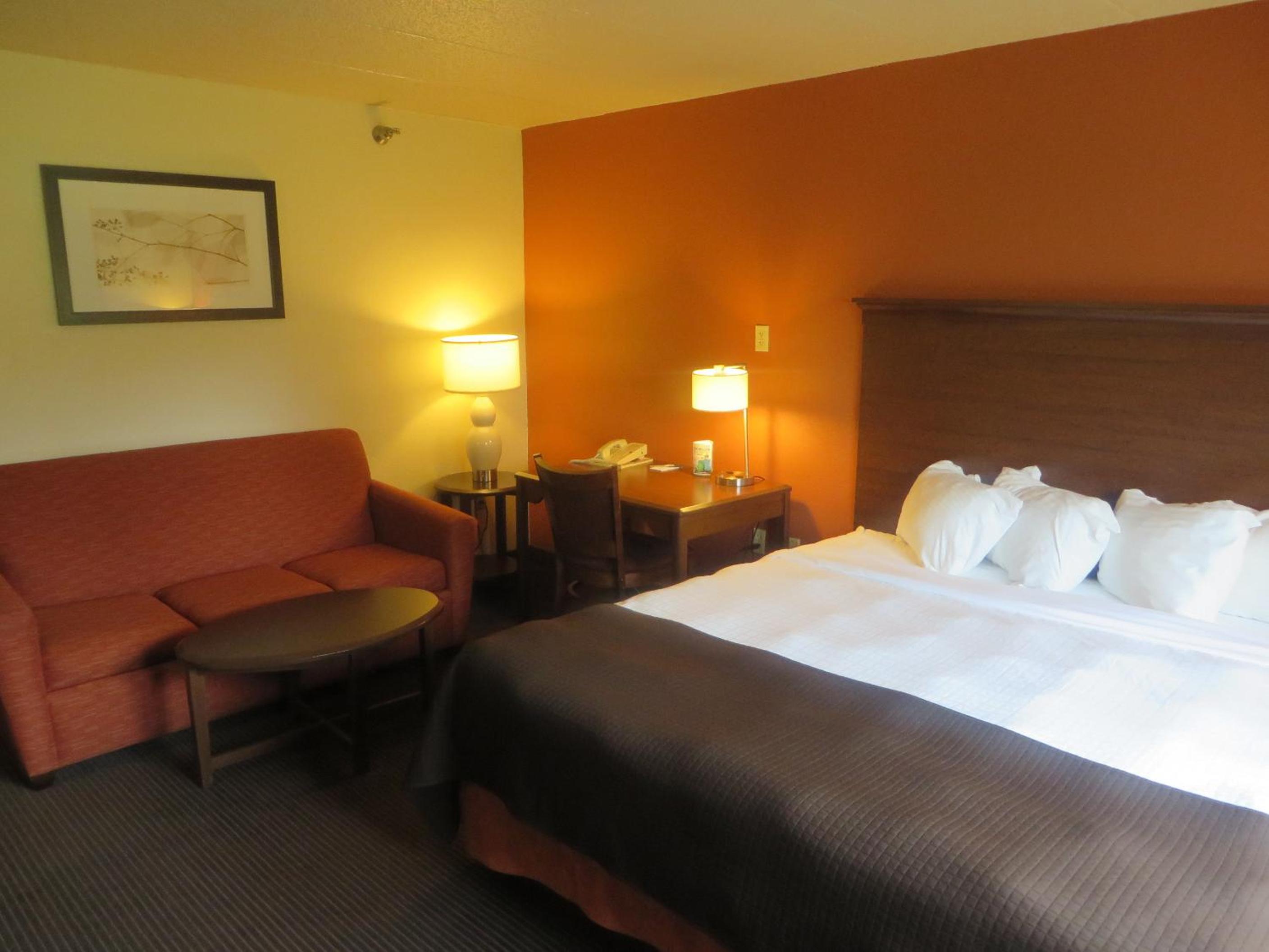 One-Bedroom Deluxe King Suite - Non-Smoking - Photo 3