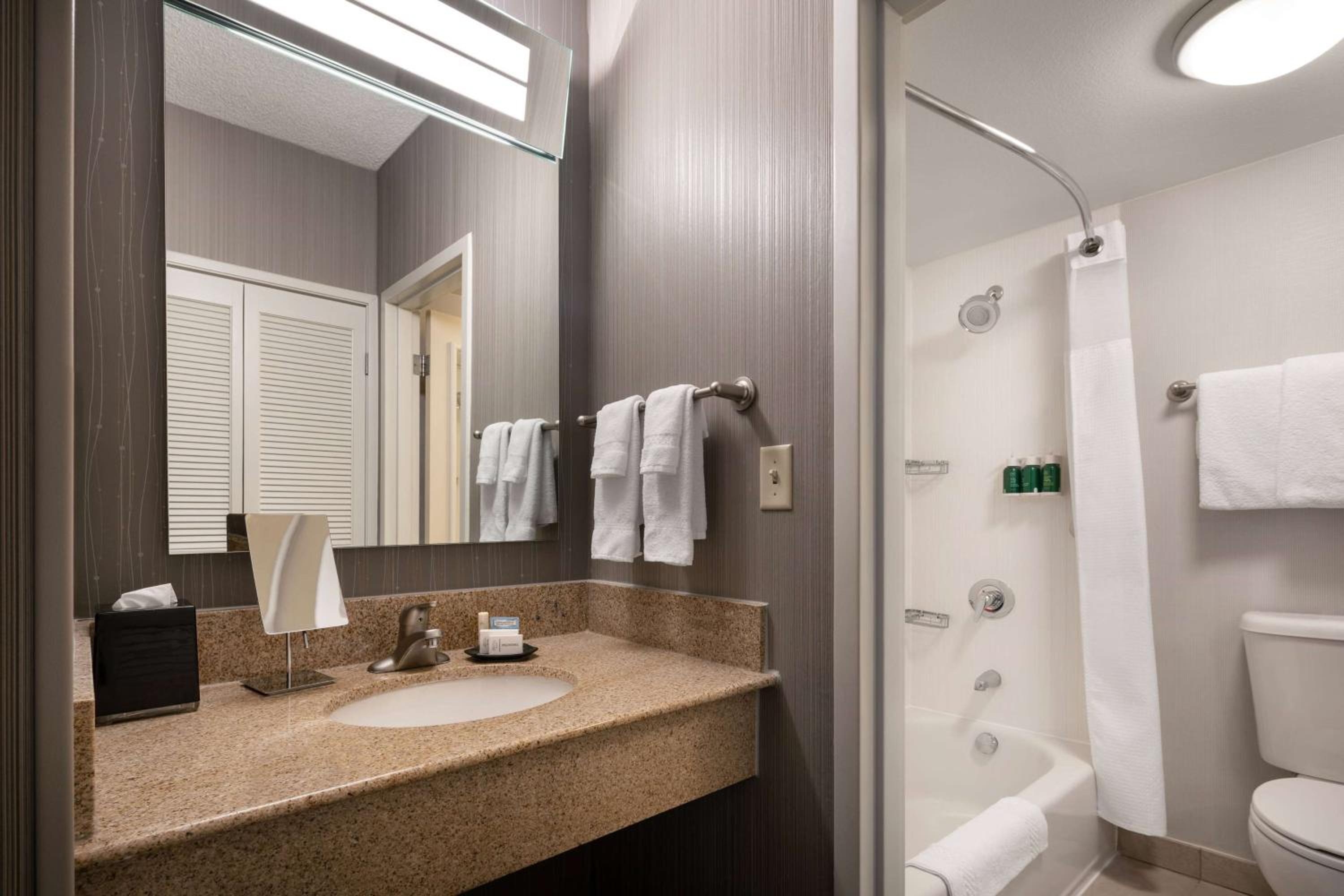 One-Bedroom King Suite - Non-Smoking - Photo 4