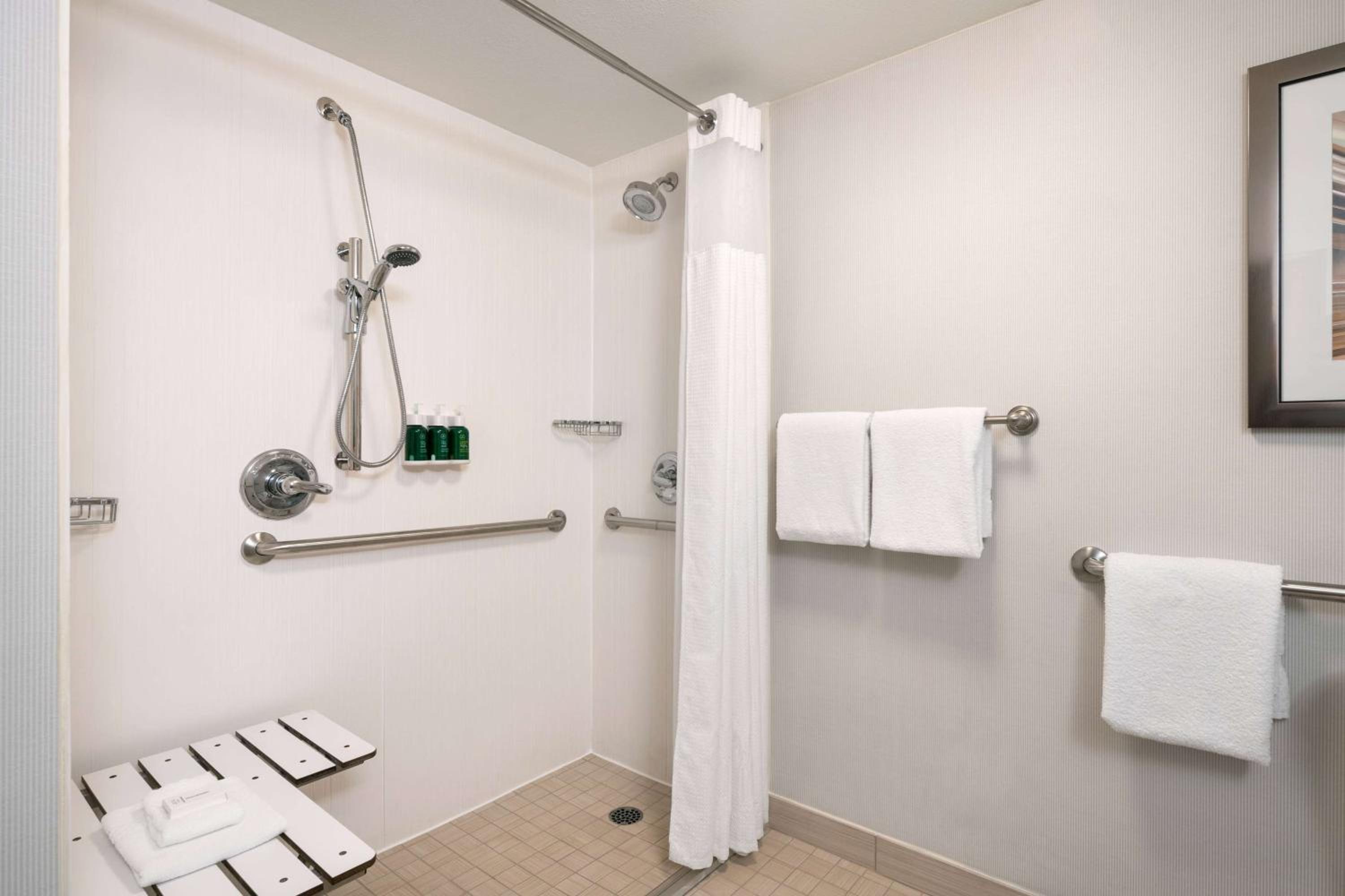 Mobility/Hearing Accessible Deluxe King Roll-In Shower - Photo 3