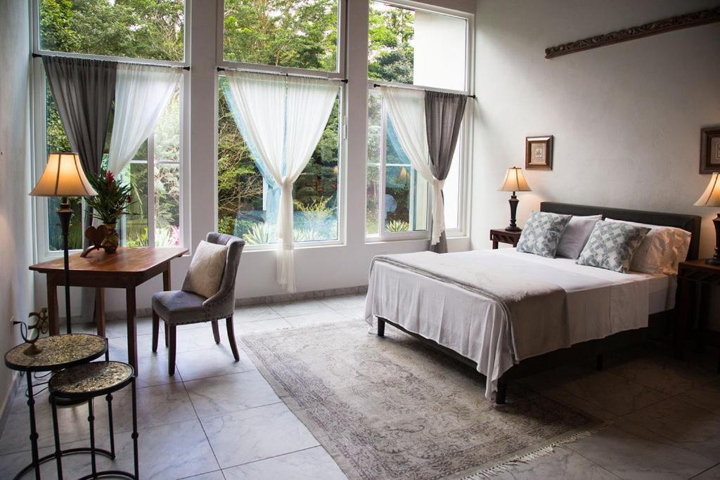 Studio with Garden View