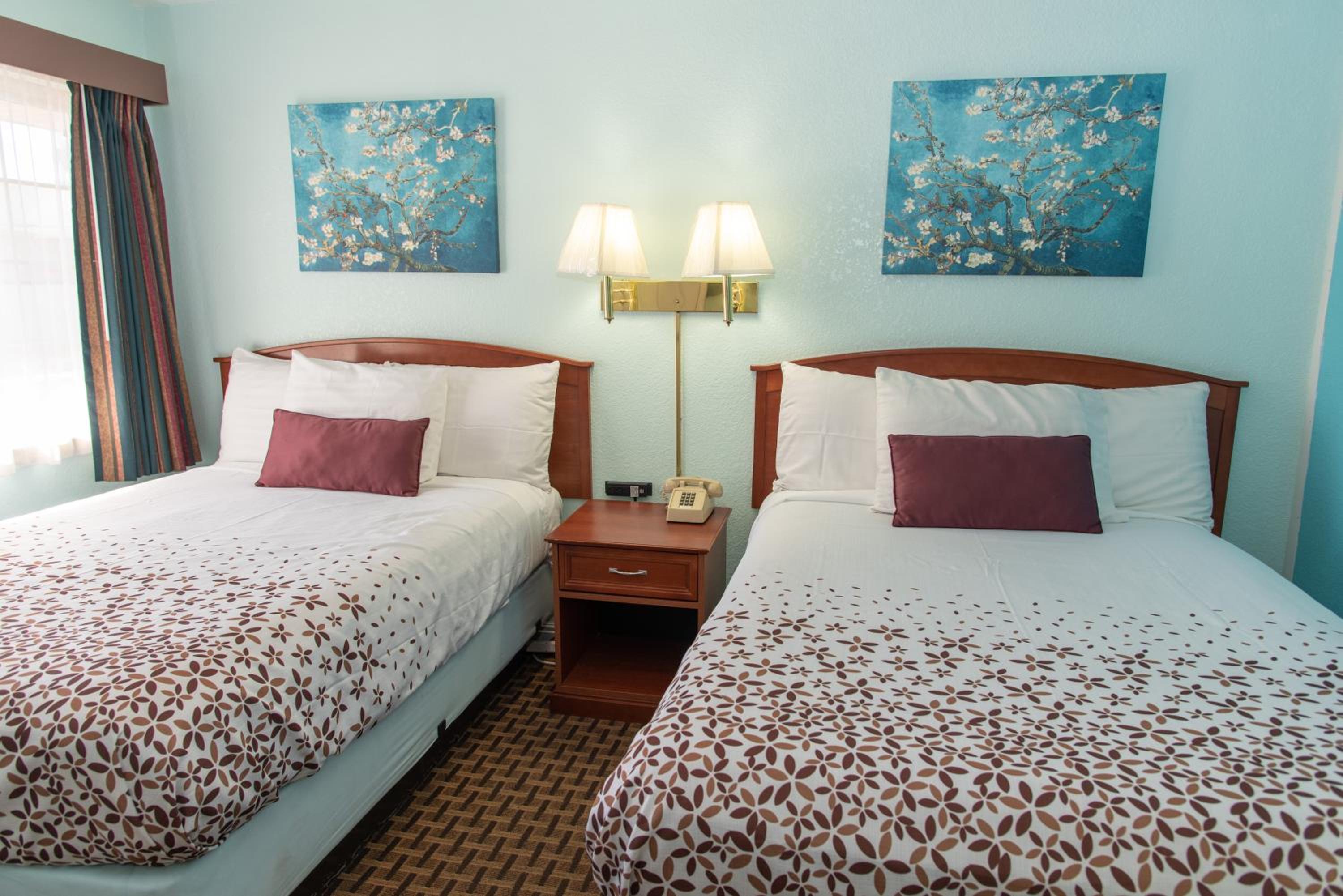 Deluxe Queen Room photo 1