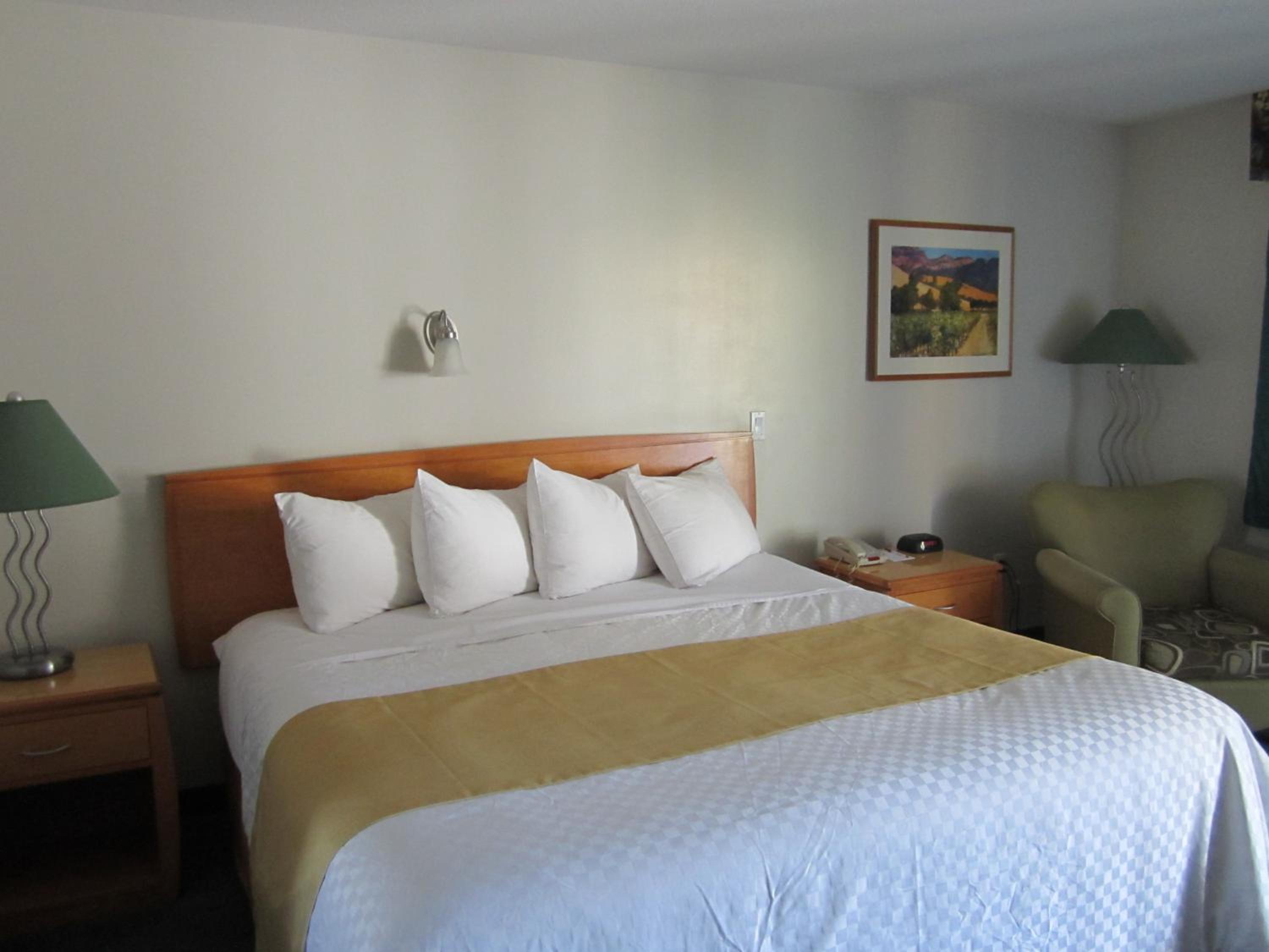King Room- Non-Smoking - Photo 1