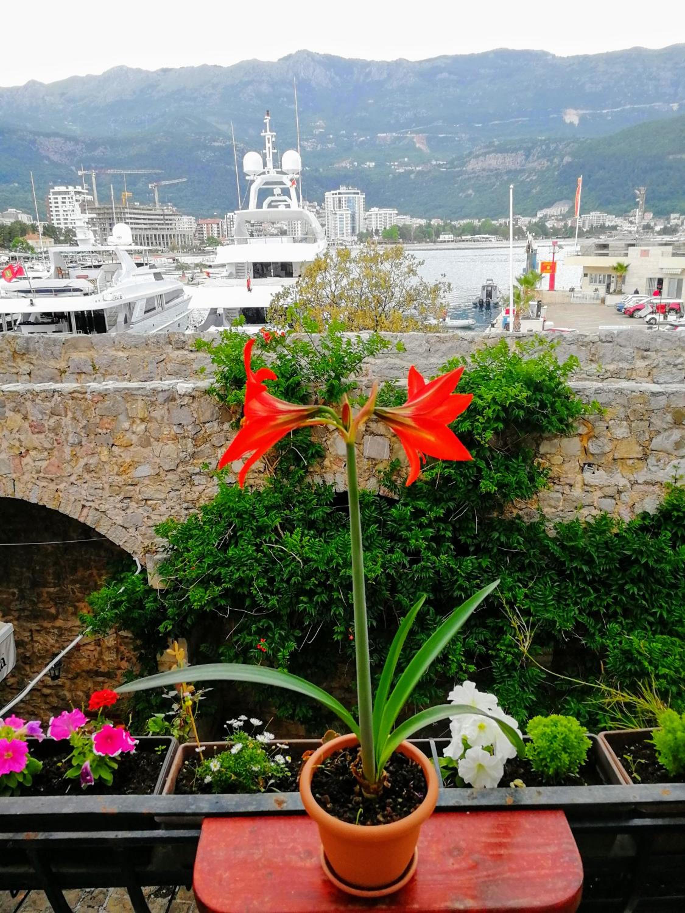 Apartment with Sea View - Photo 40