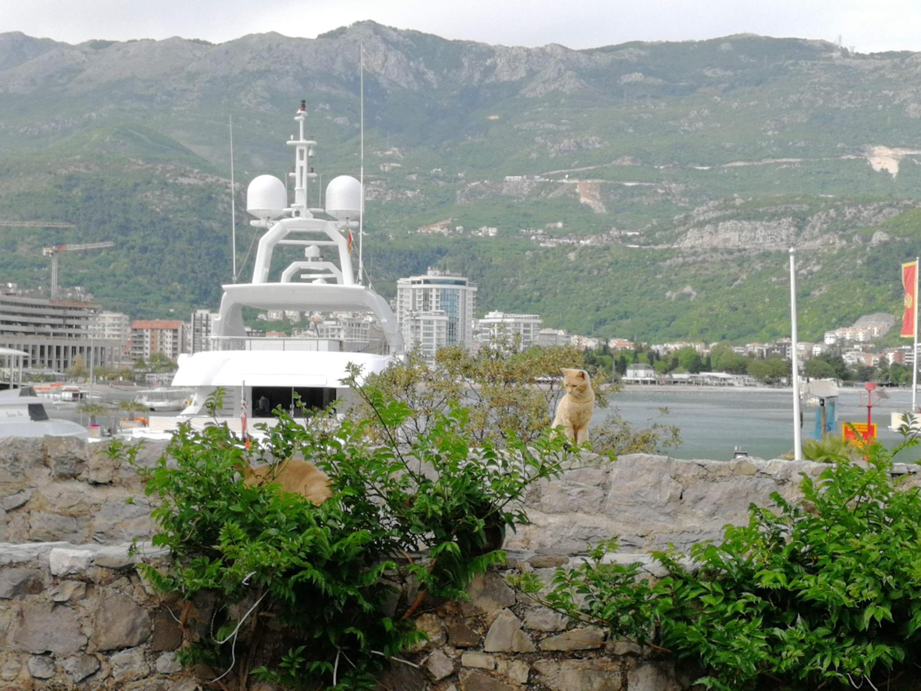 Apartment with Sea View - Photo 46