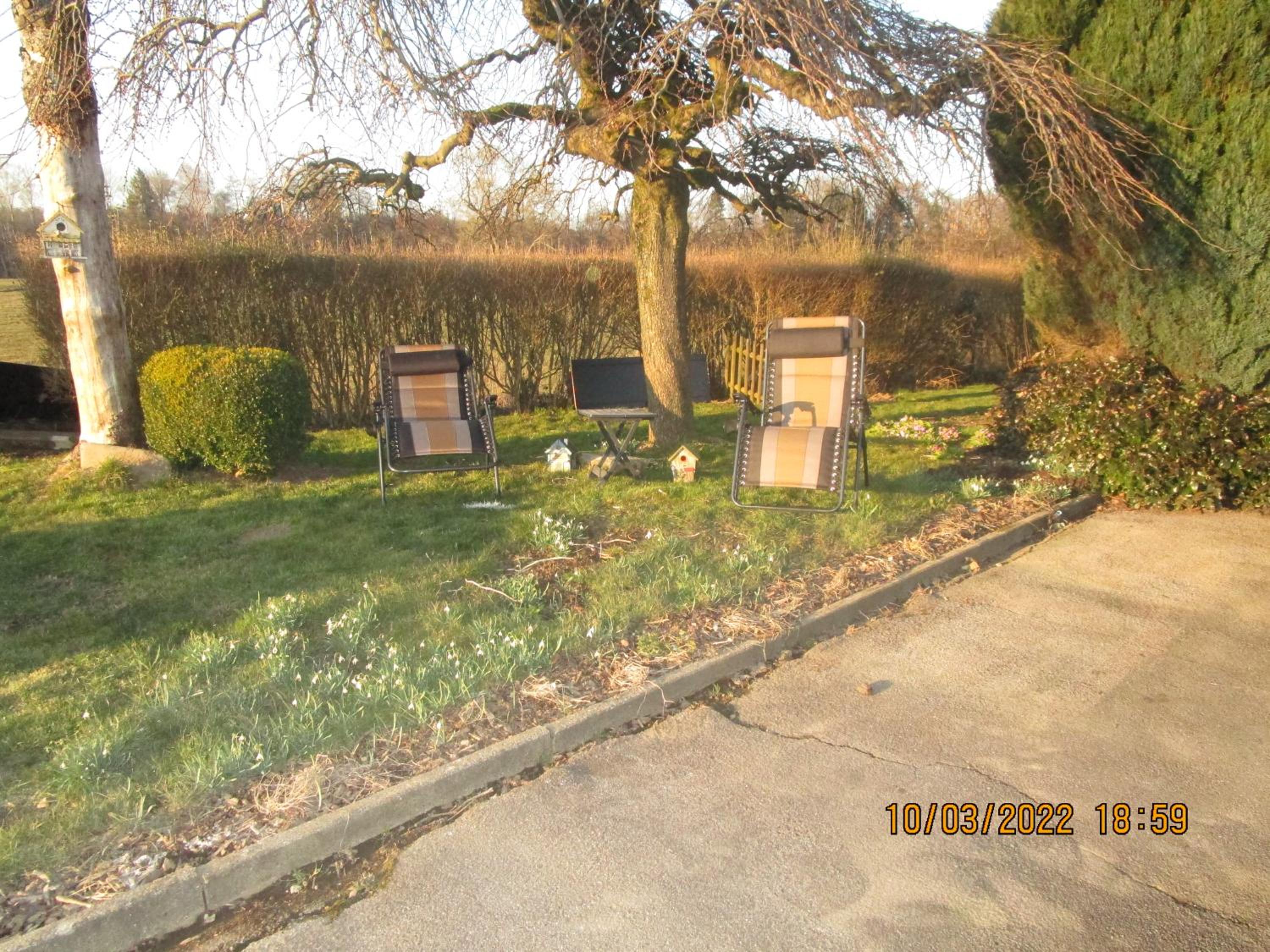 Three-Bedroom House photo 2