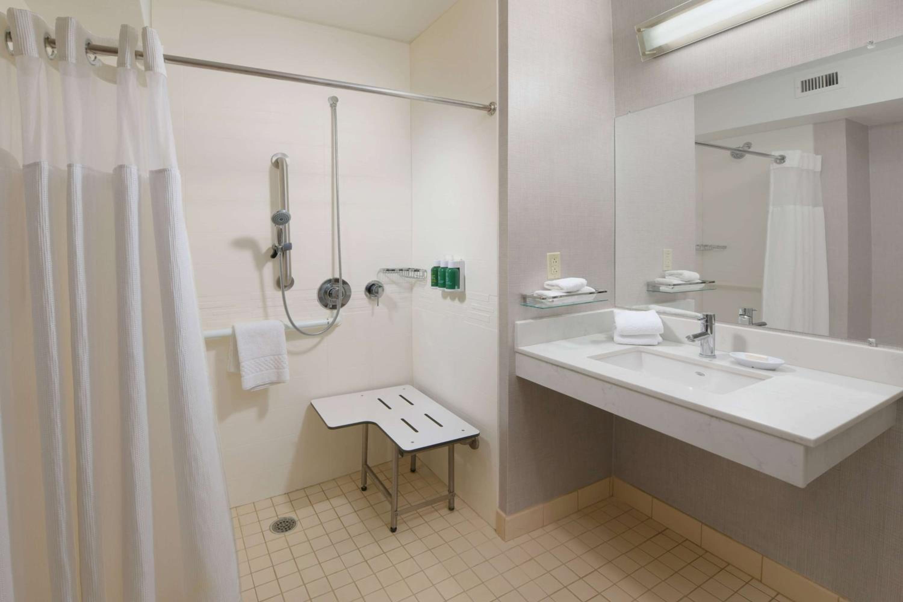Mobility Accessible Studio Suite King Roll-In Shower - Photo 2