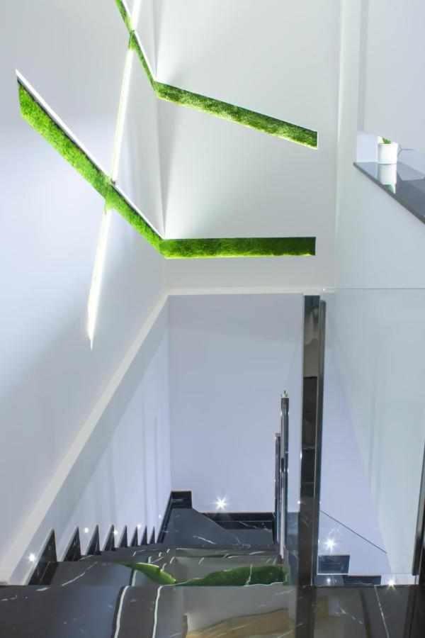 Duplex Apartment - Photo 8