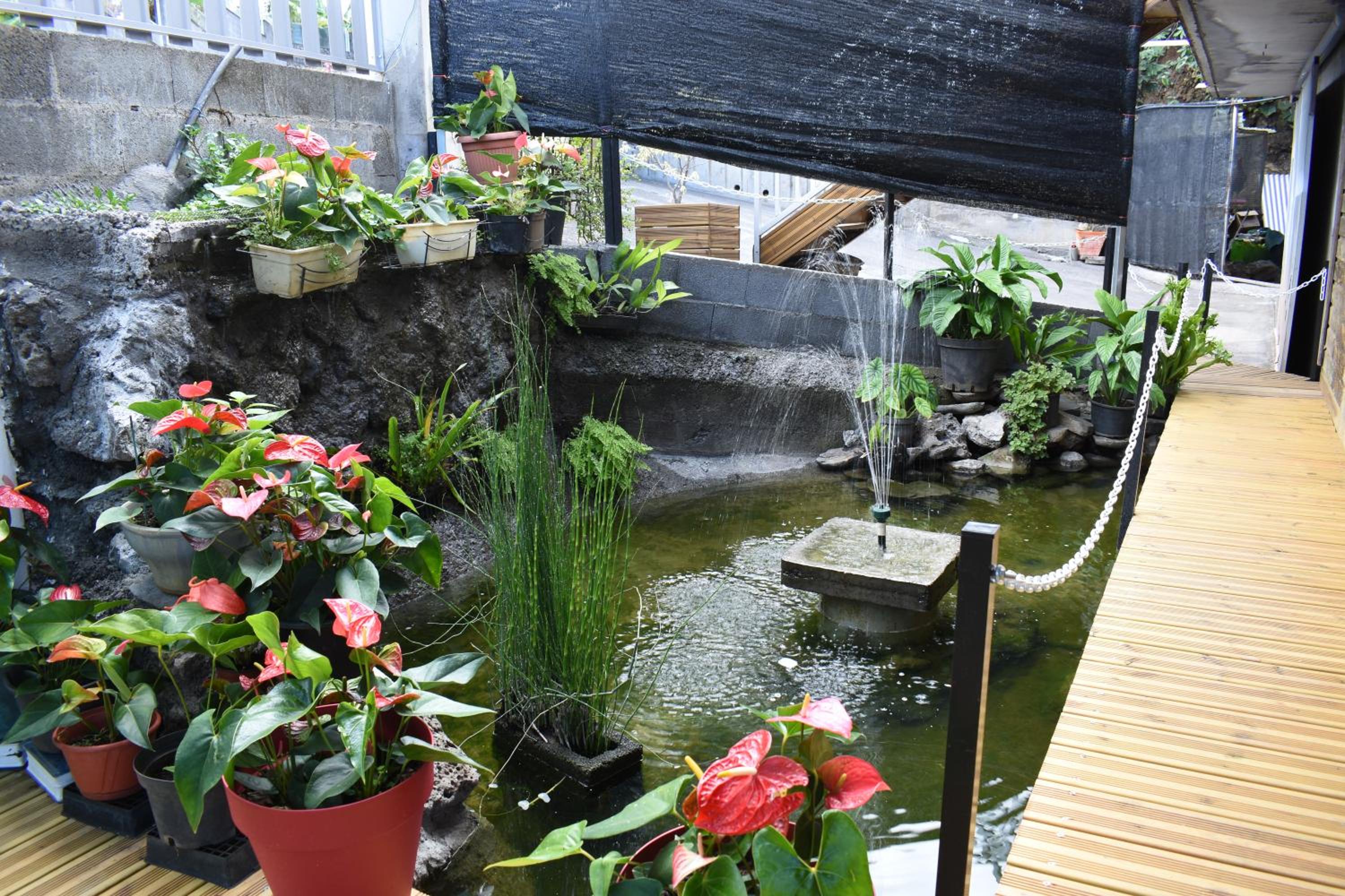 Double Room with Terrace photo 1