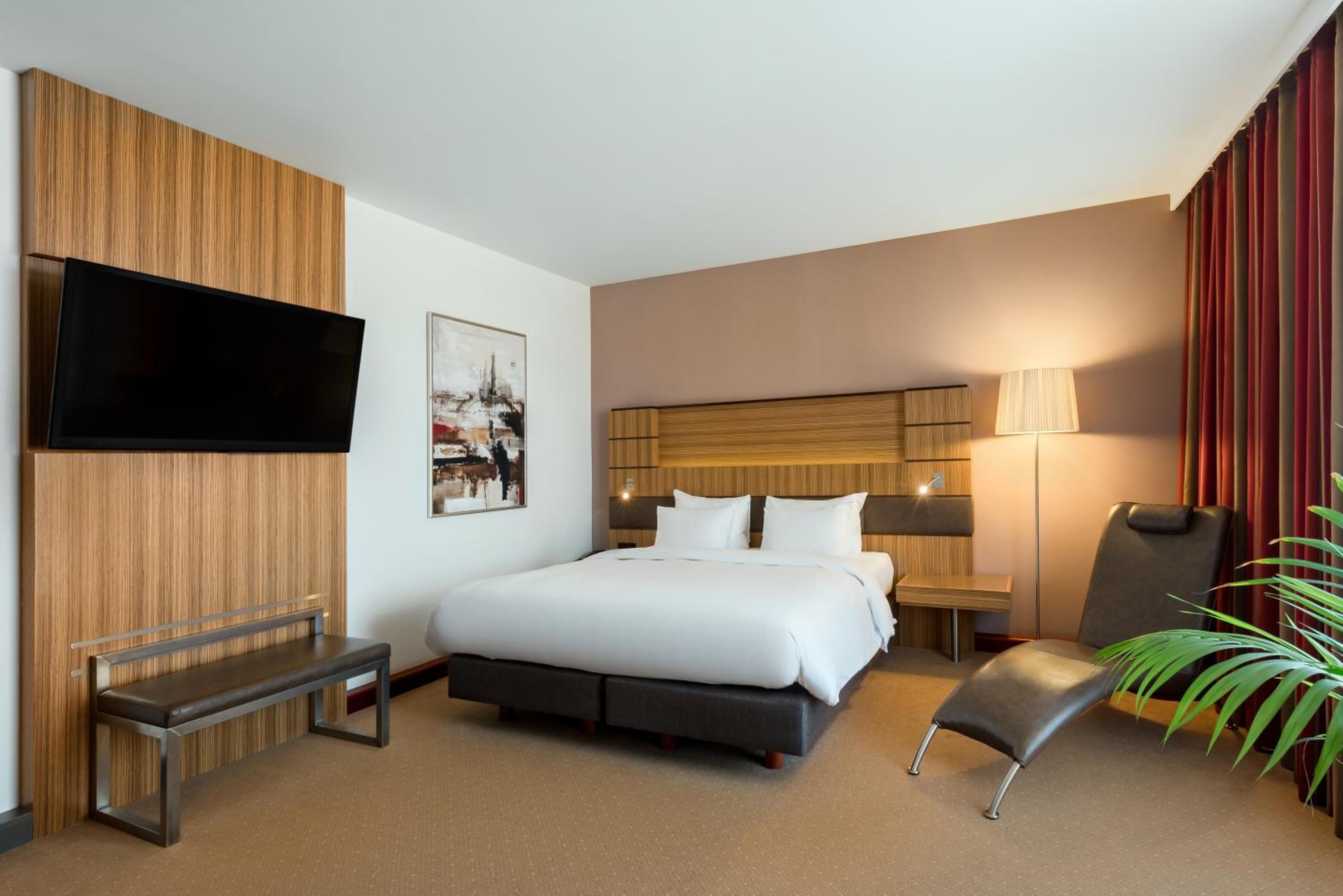 Suite - Photo 1