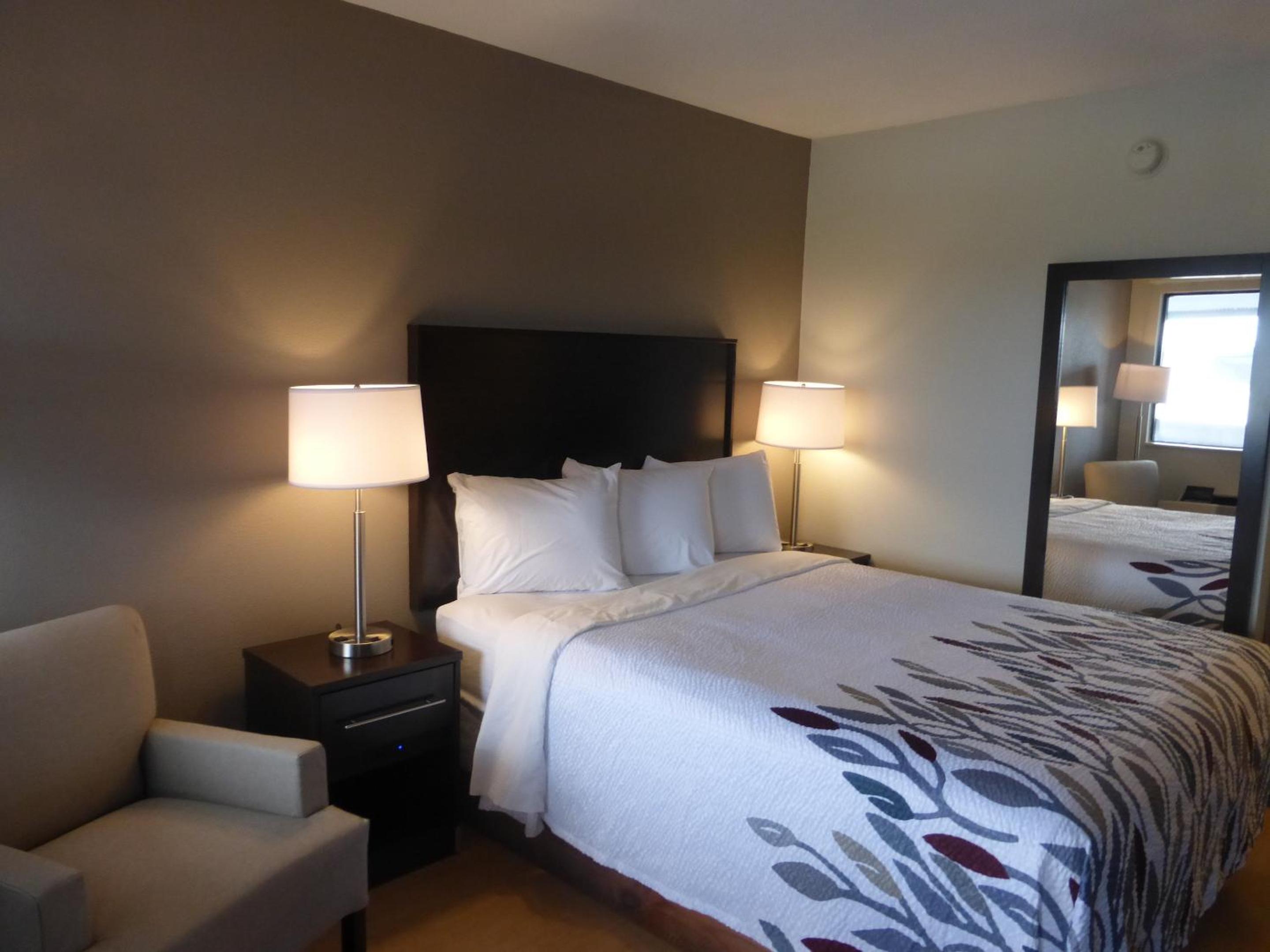  Deluxe Room with One Queen Bed Non-Smoking - Photo 5