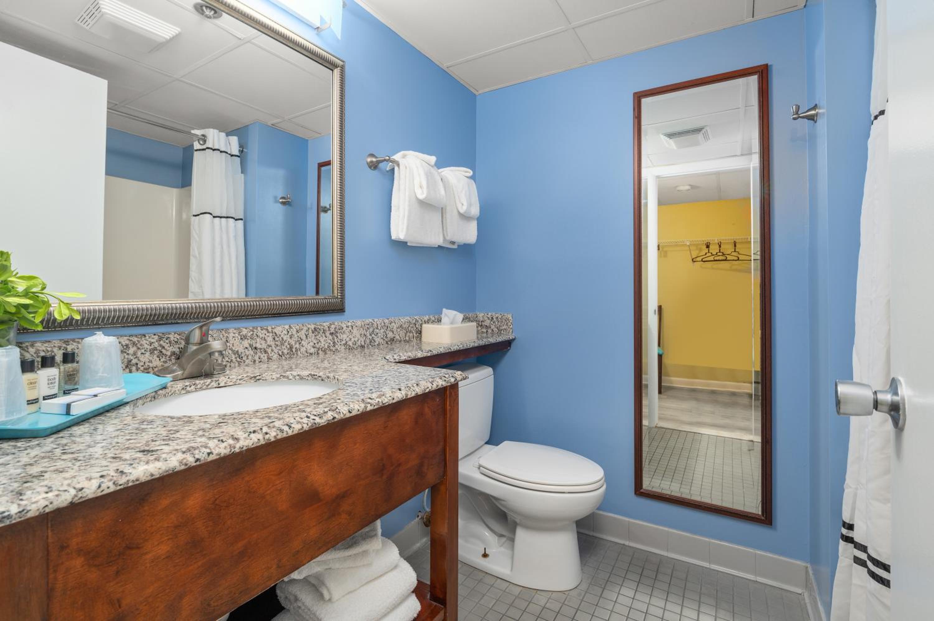 Queen Suite-No Pets Allowed photo 2
