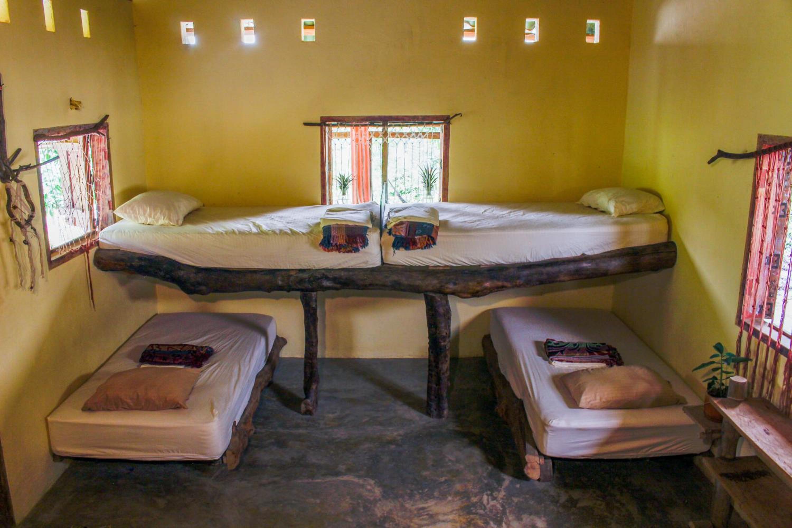 Bunk Bed in Mixed Dormitory Room photo 1