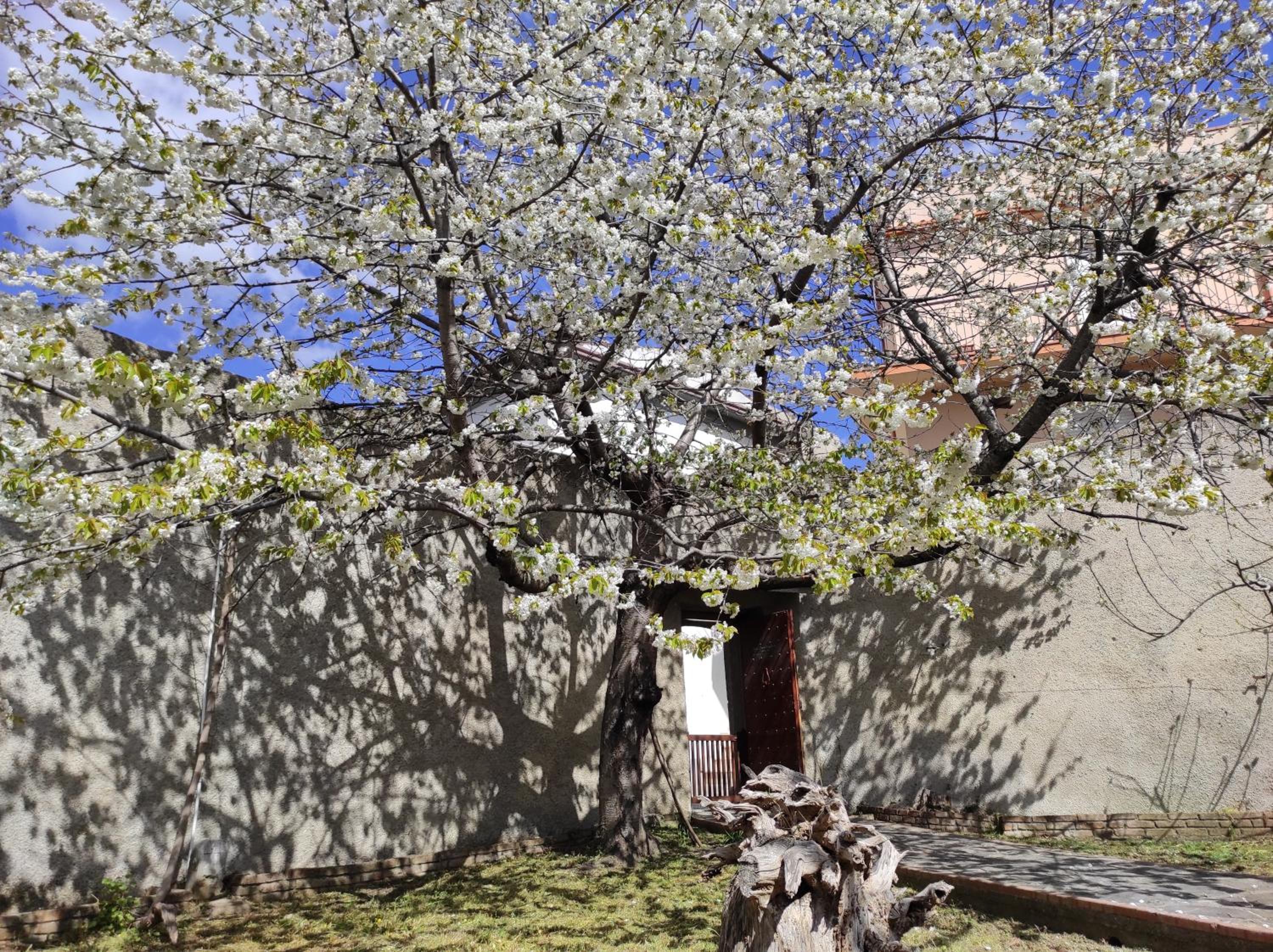 Triple Room With Terrace photo 3