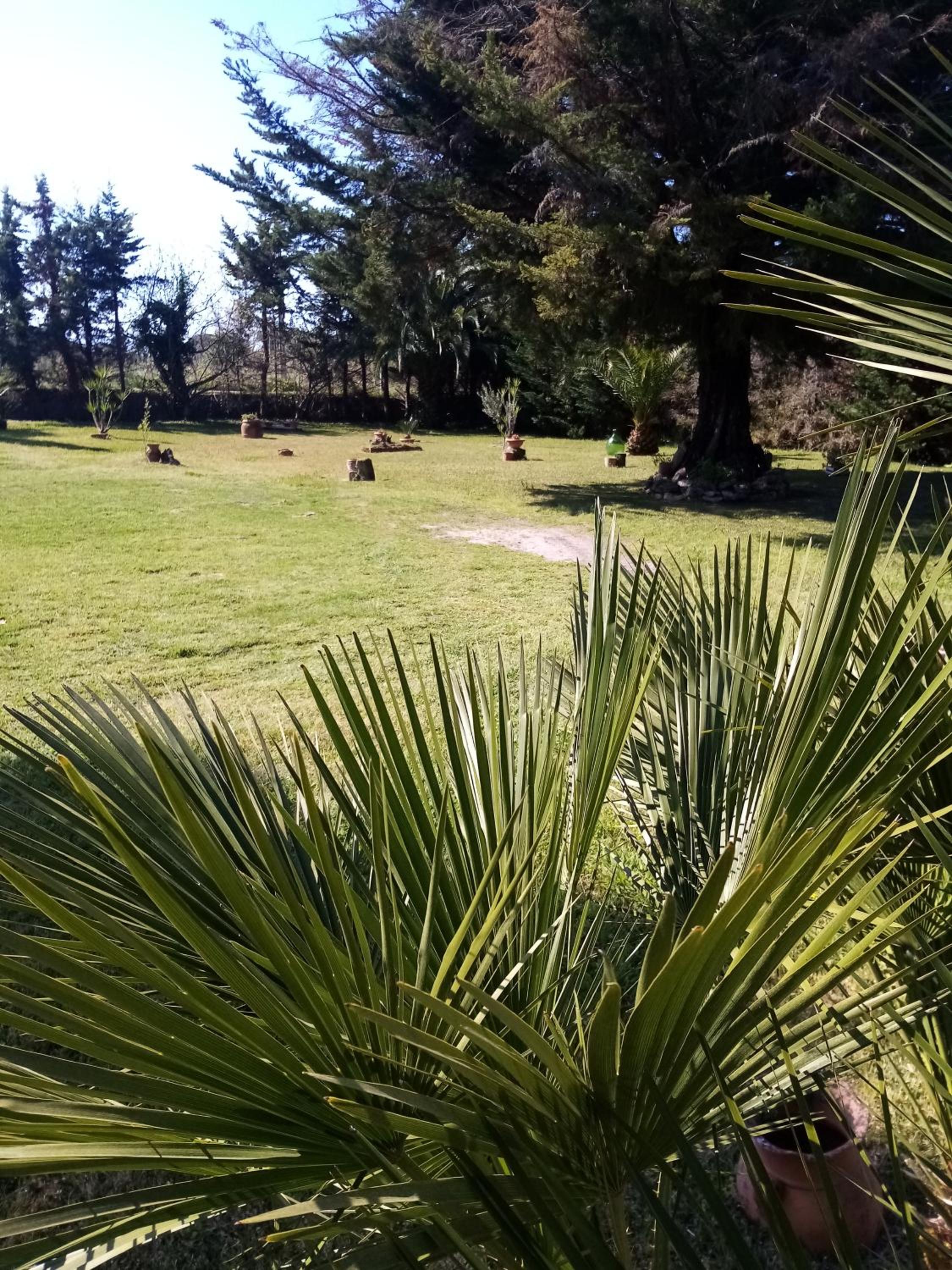 Large Double Room - Photo 16