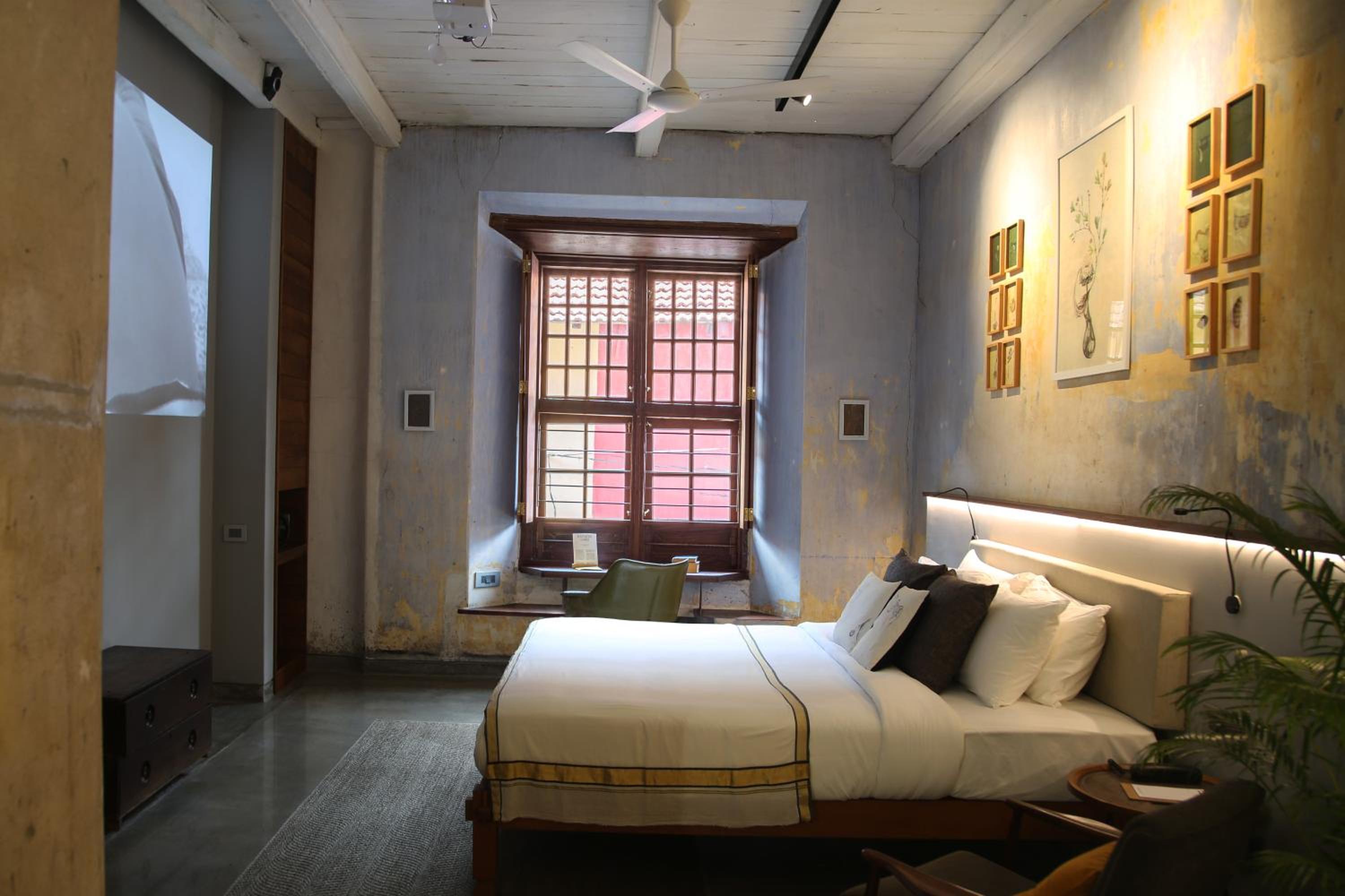 GALLERY 2 - Photo 5