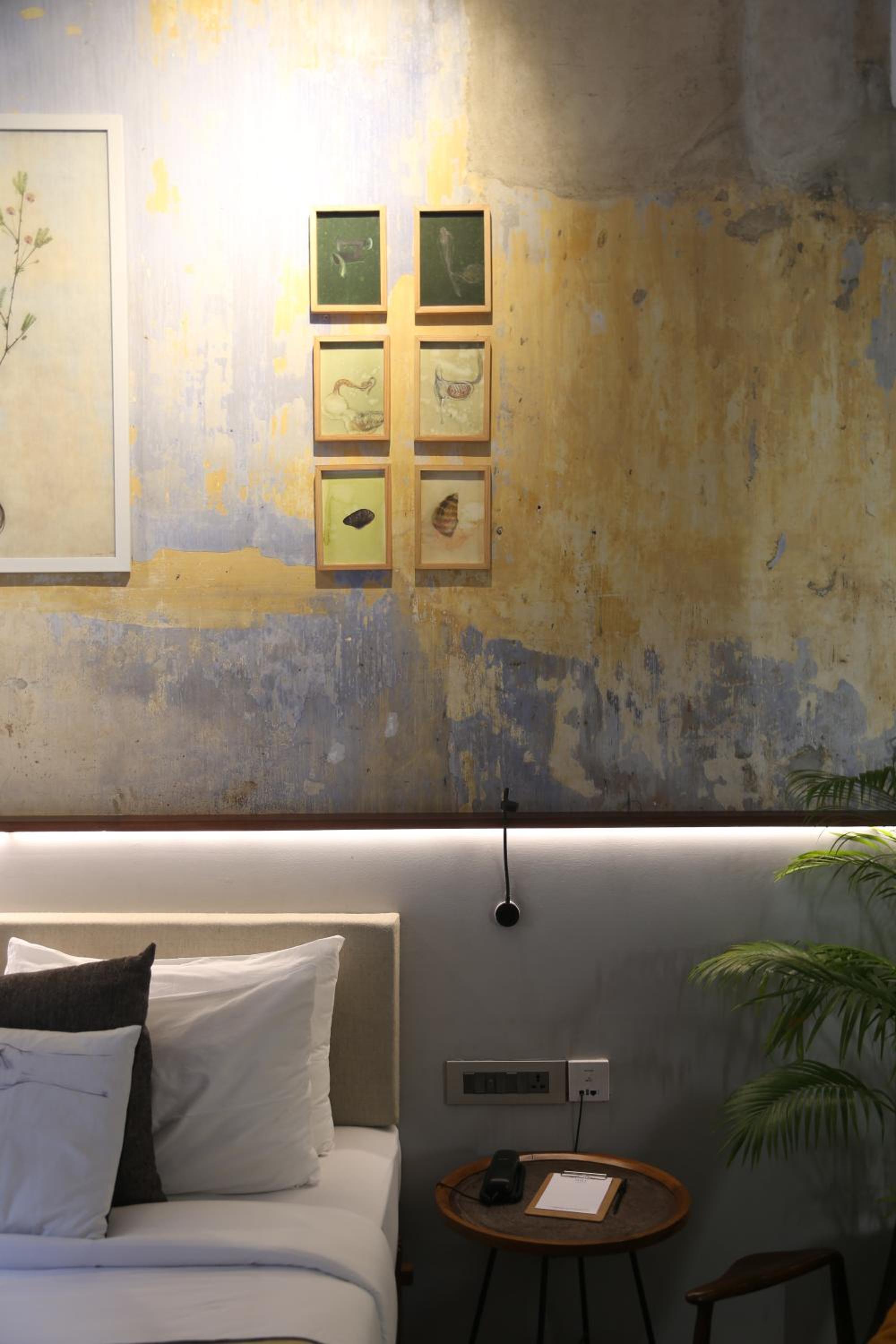 GALLERY 2 - Photo 7