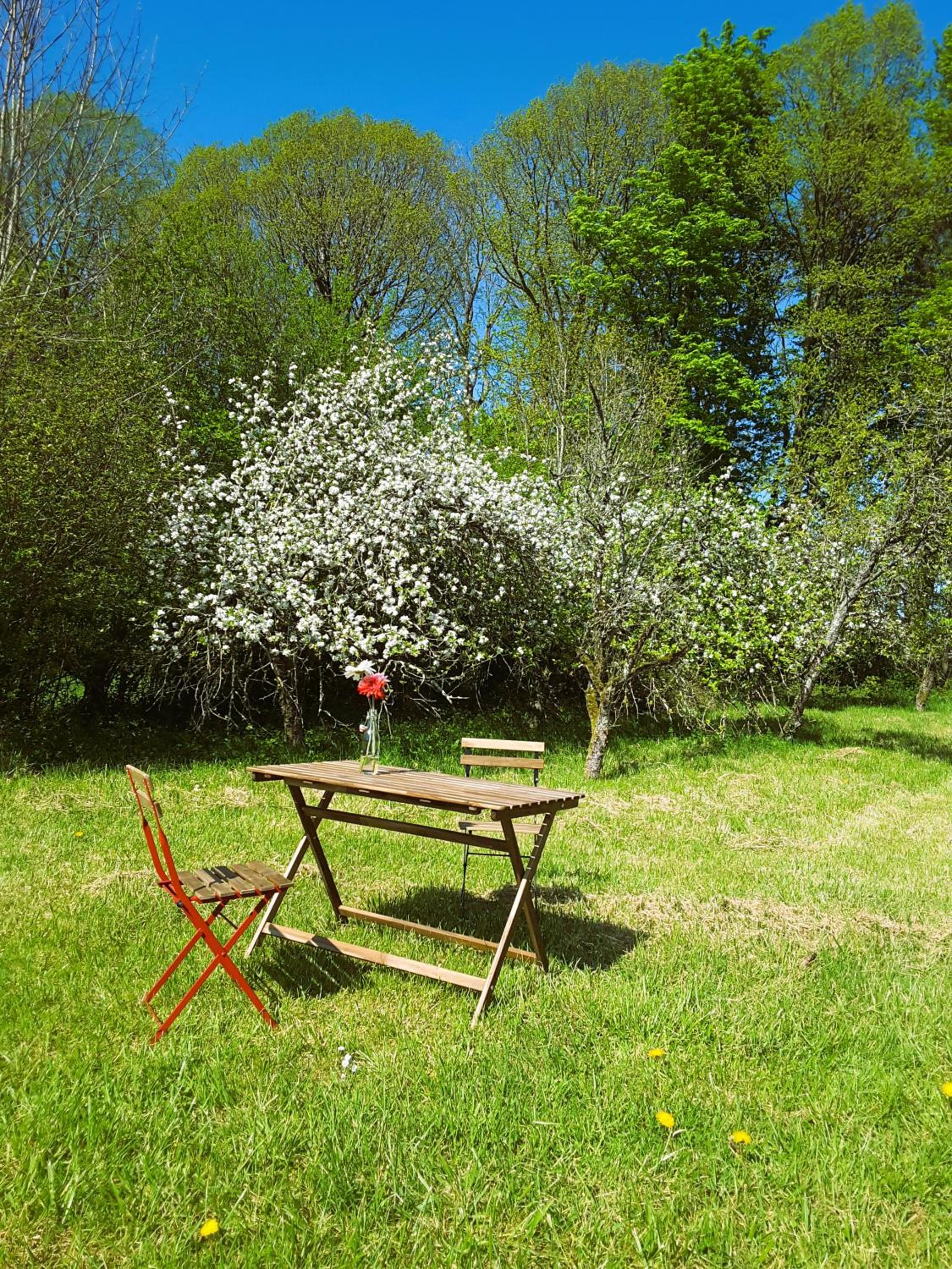Double Room with Garden View