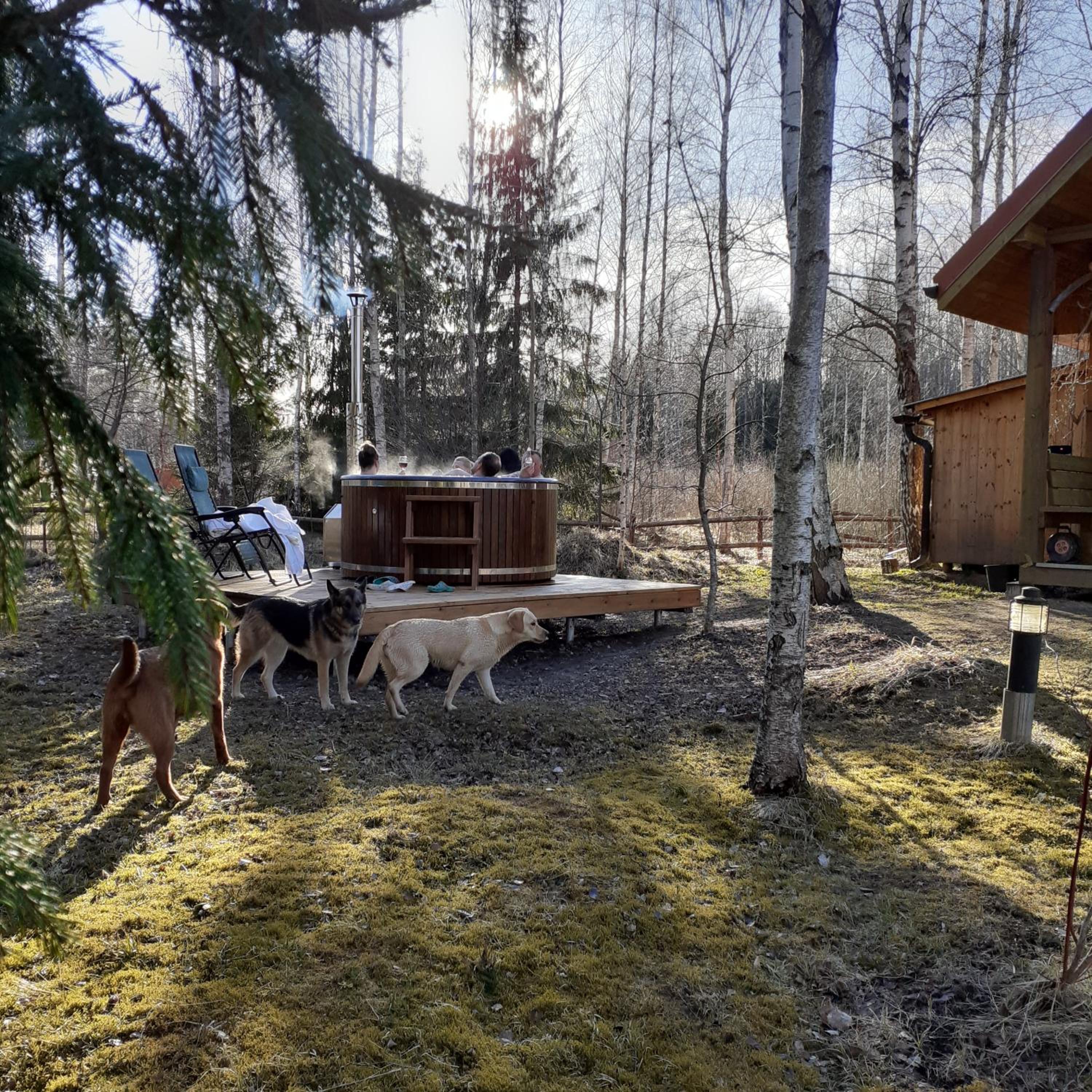 Four-Bedroom House - Photo 23