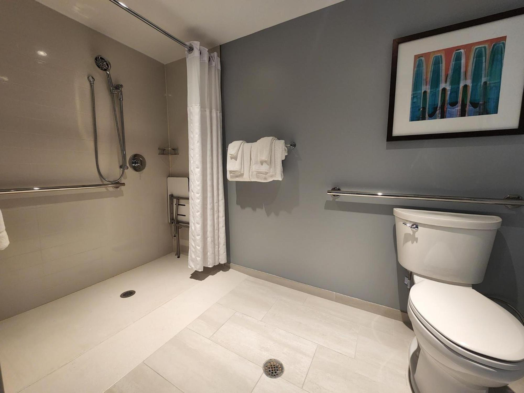 King Room with Sofa Bed and Roll-In Shower - Disability Access - Photo 2