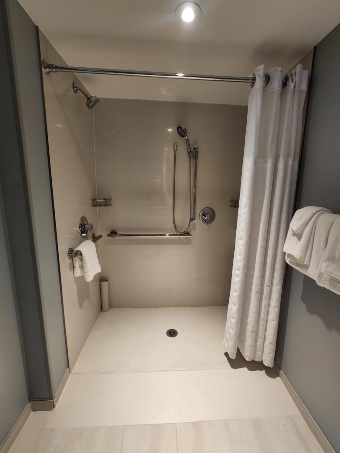 King Room with Sofa Bed and Roll-In Shower - Disability Access - Photo 6