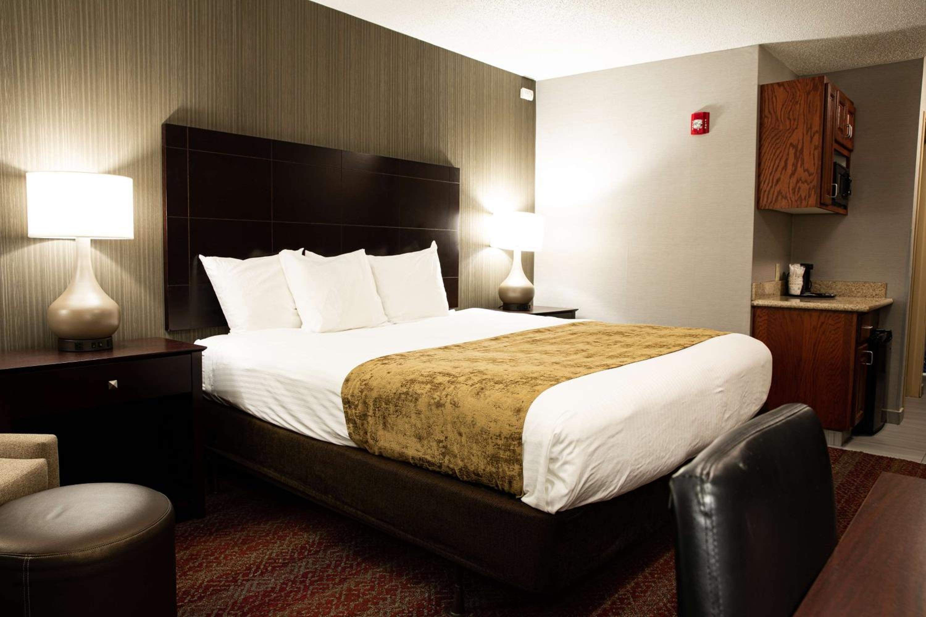 King Room - Non-Smoking - Photo 4