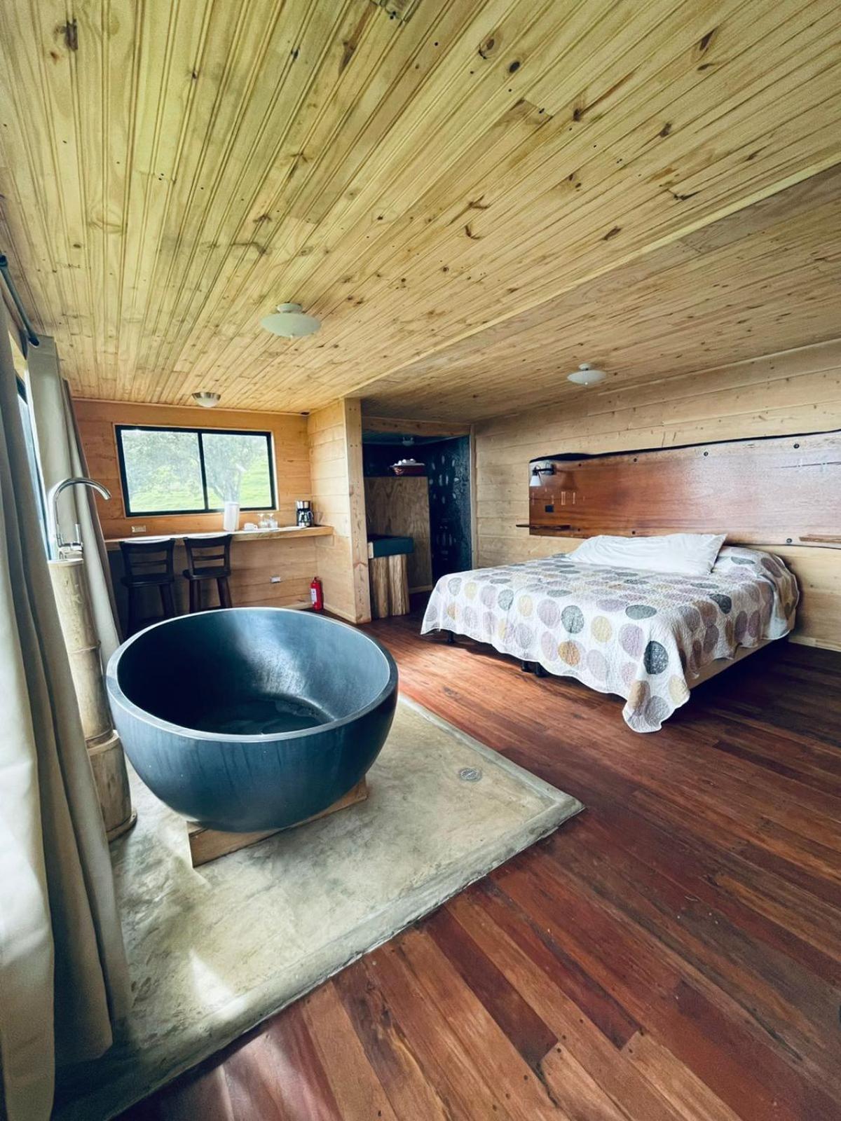 Junior Suite with Terrace photo 1